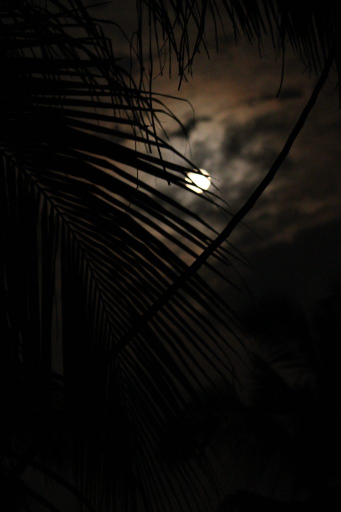 Night moon and clouds - Free Image by __ma_n_u_ on PixaHive.com