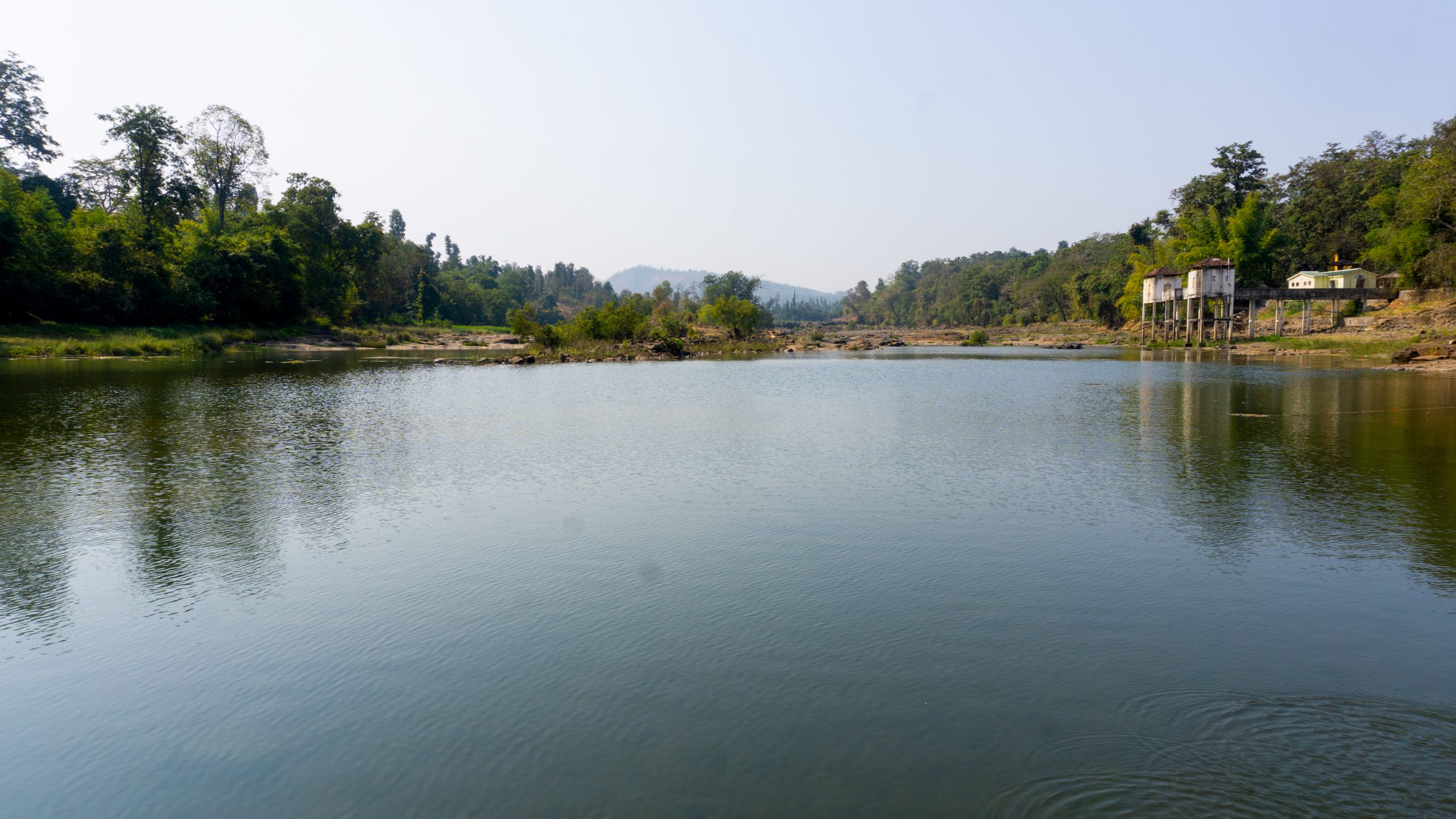 lake and trees