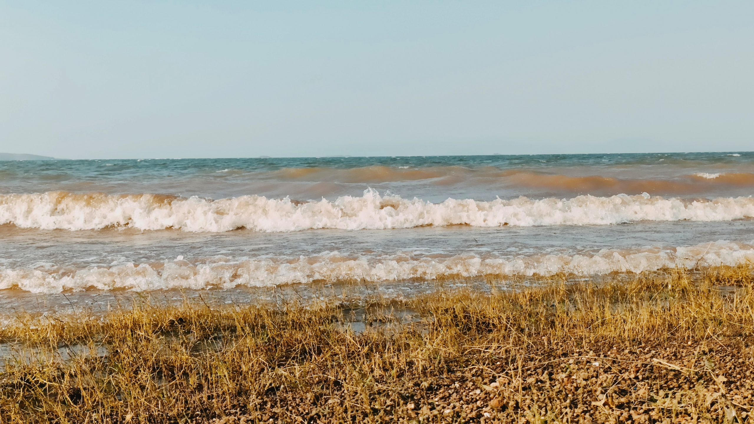 Sea waves reaching shore