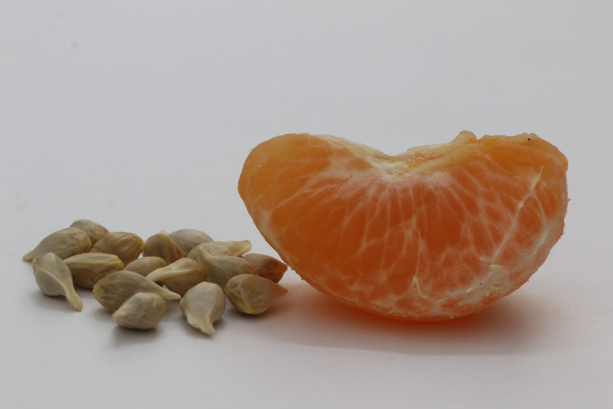 orange wedge and seeds