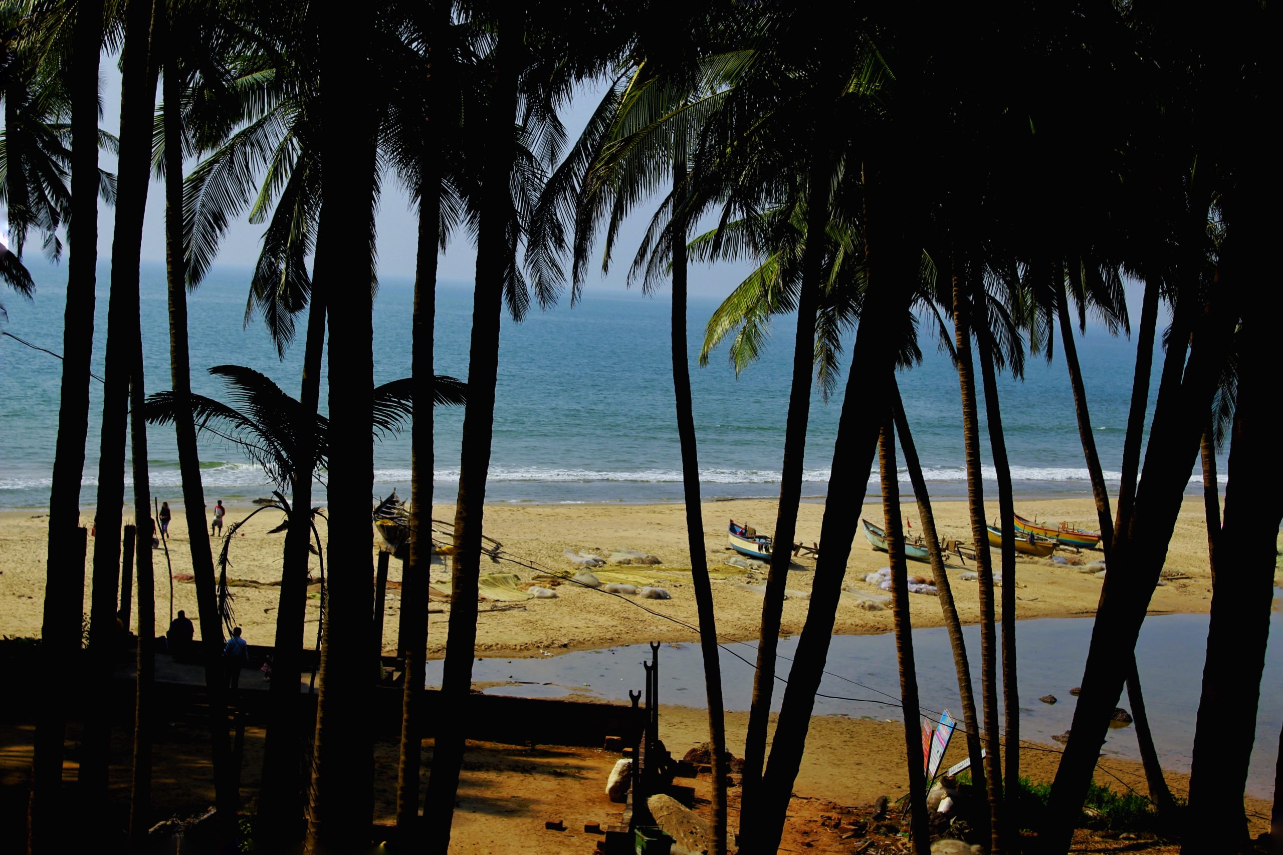 Palm trees near Kondura beach