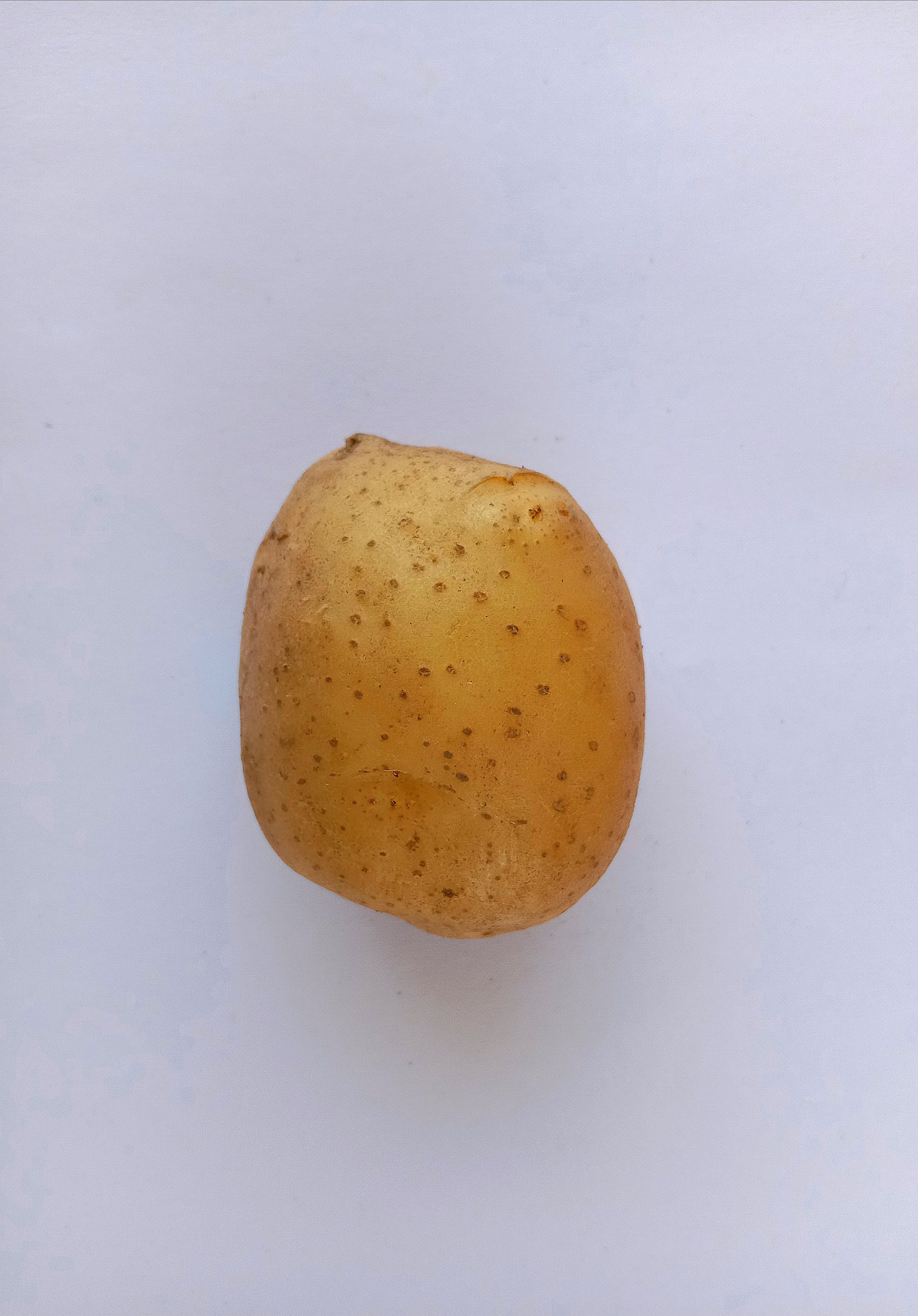 potato vegetable
