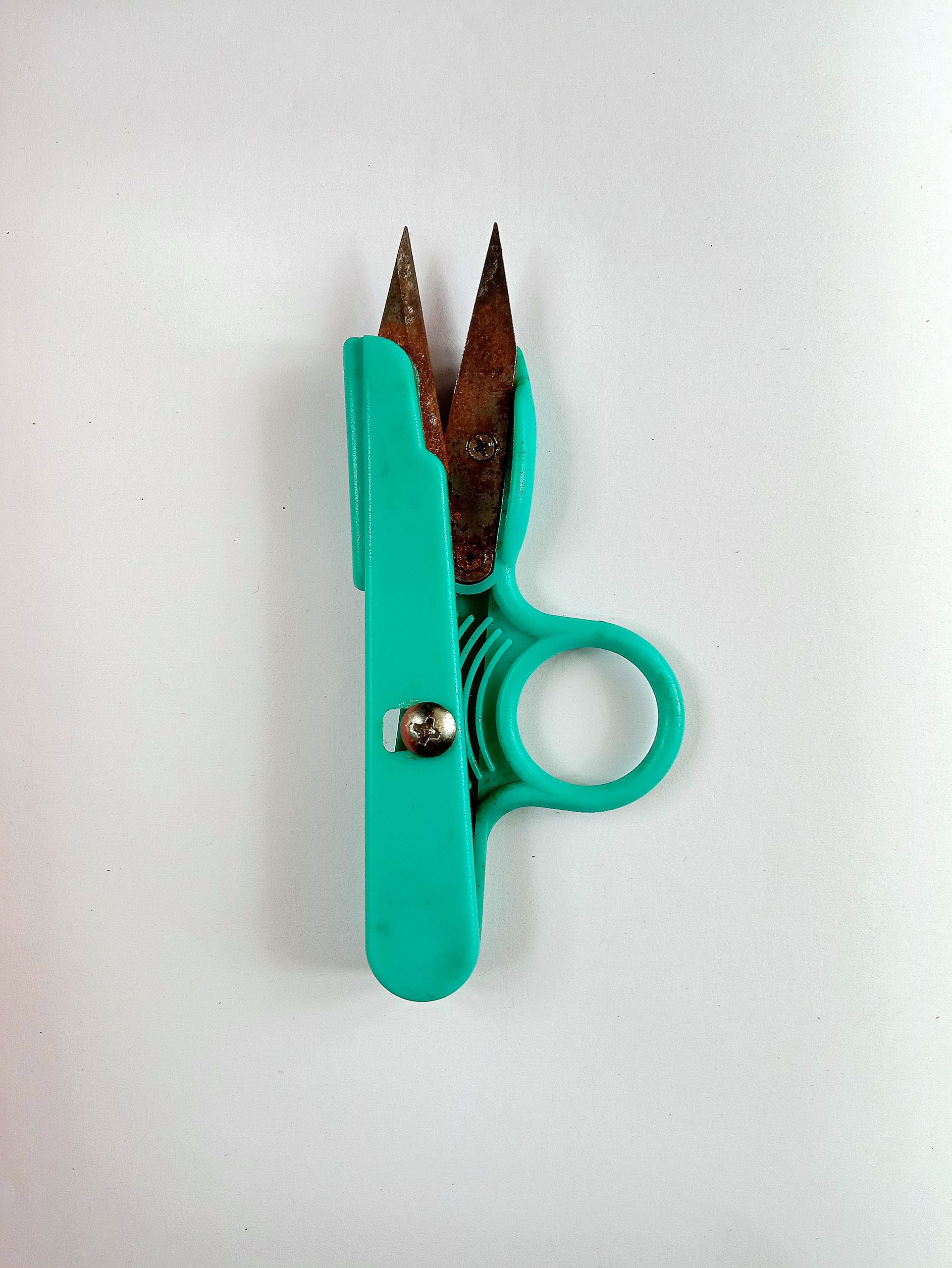 Rusty scissor
