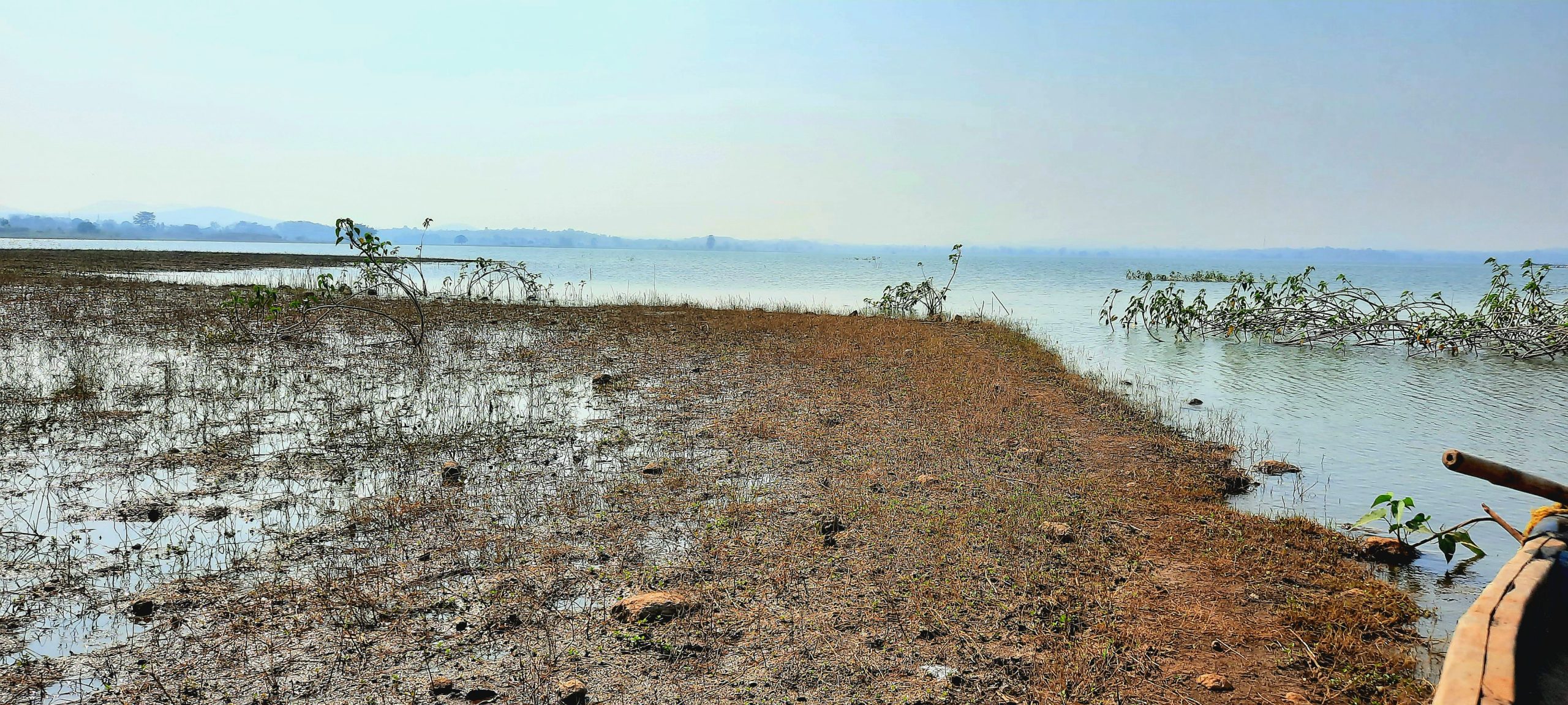 Shore of a lake