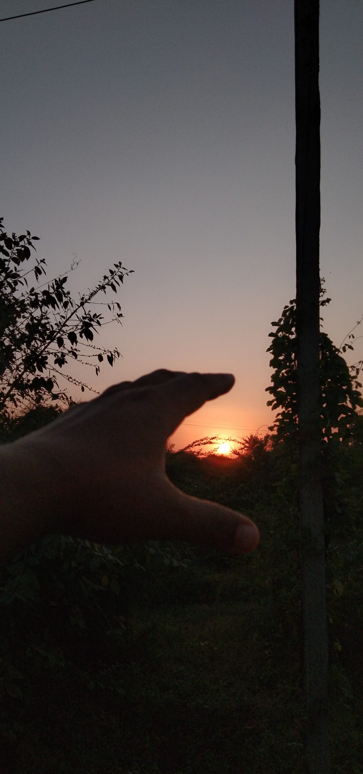 Hand towards sun