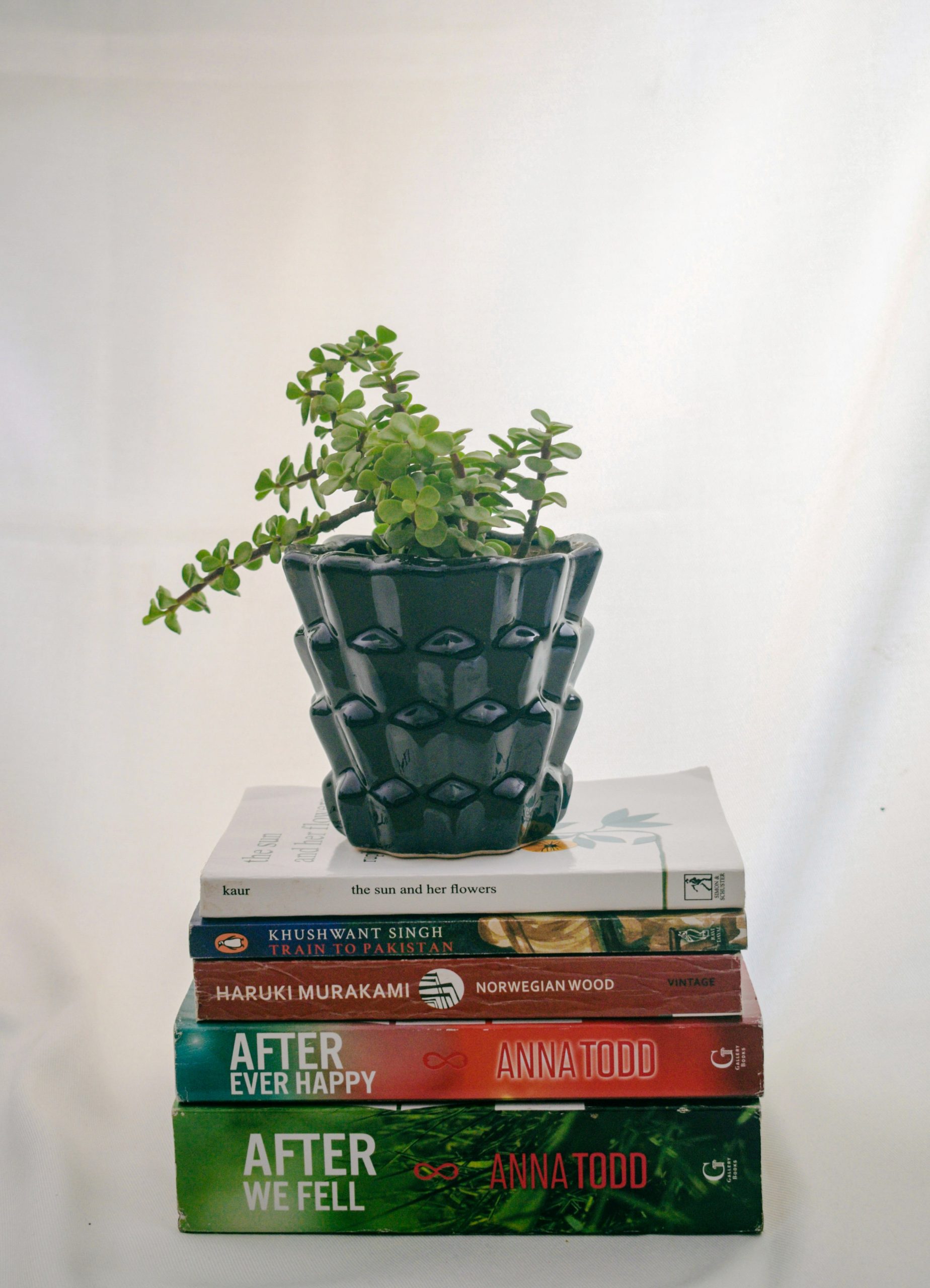 books and plant