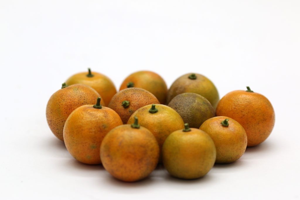 Fresh Oranges Pixahive