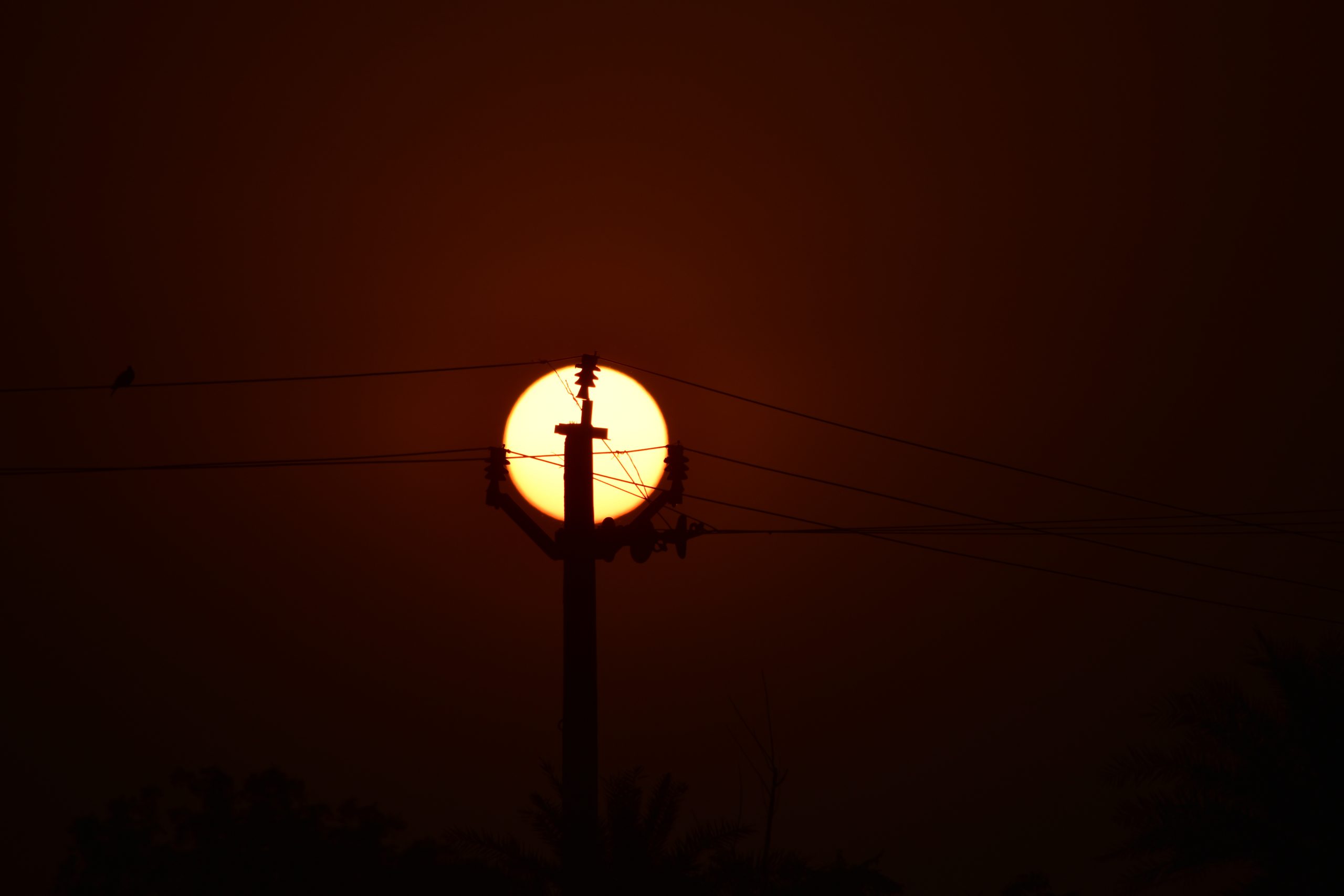 Sun through an electric pole