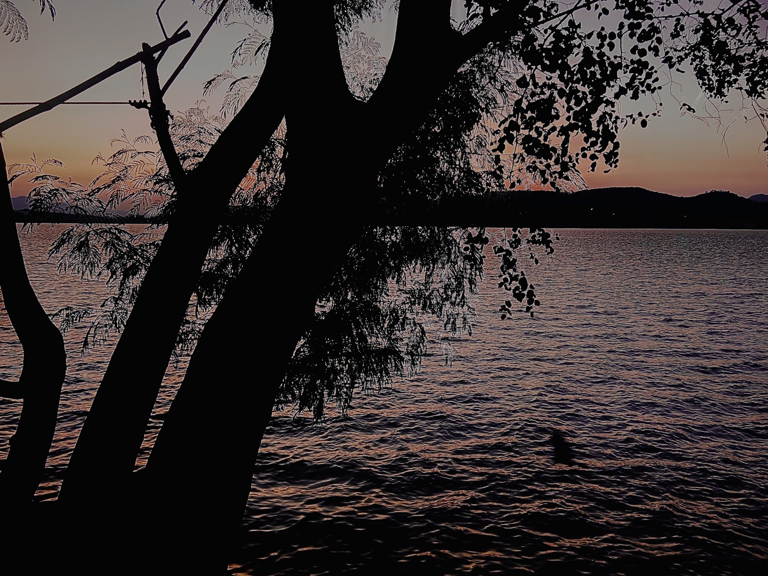 lake at dusk