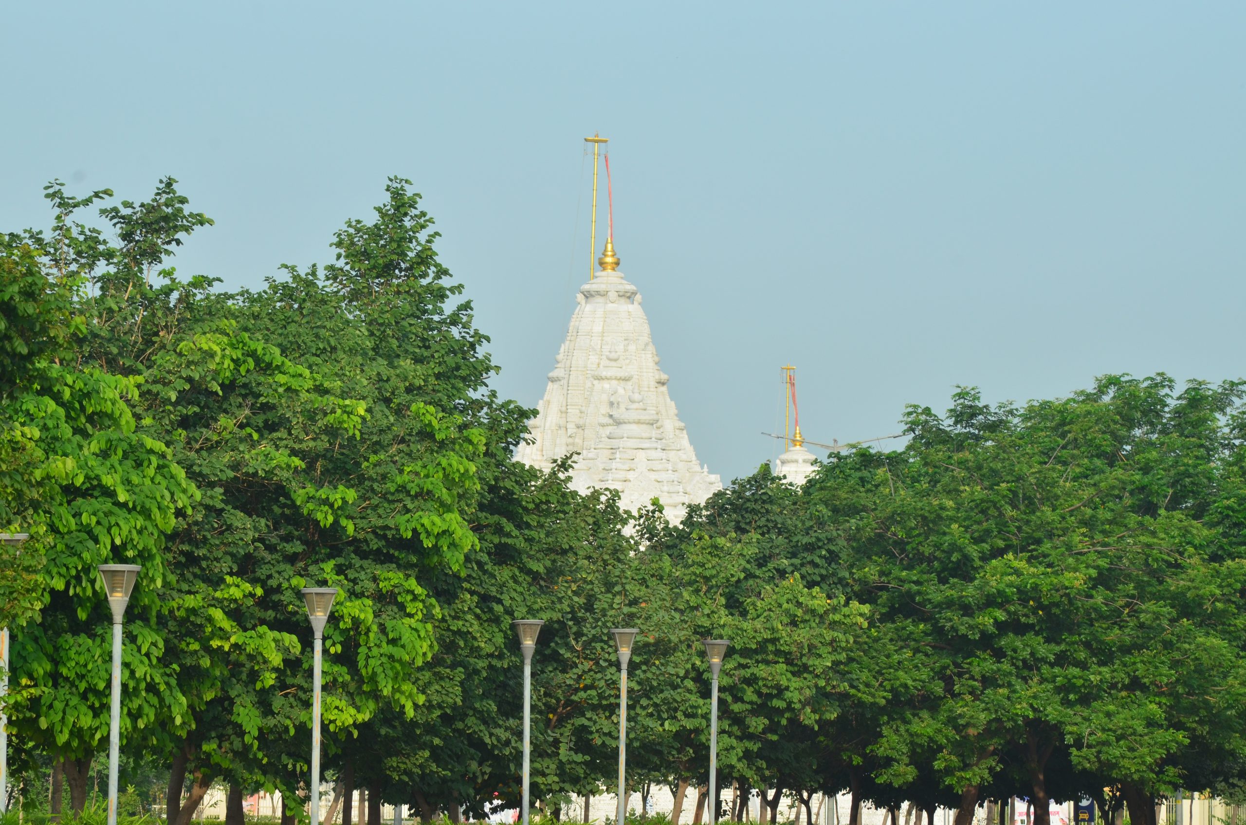 temple behind trees