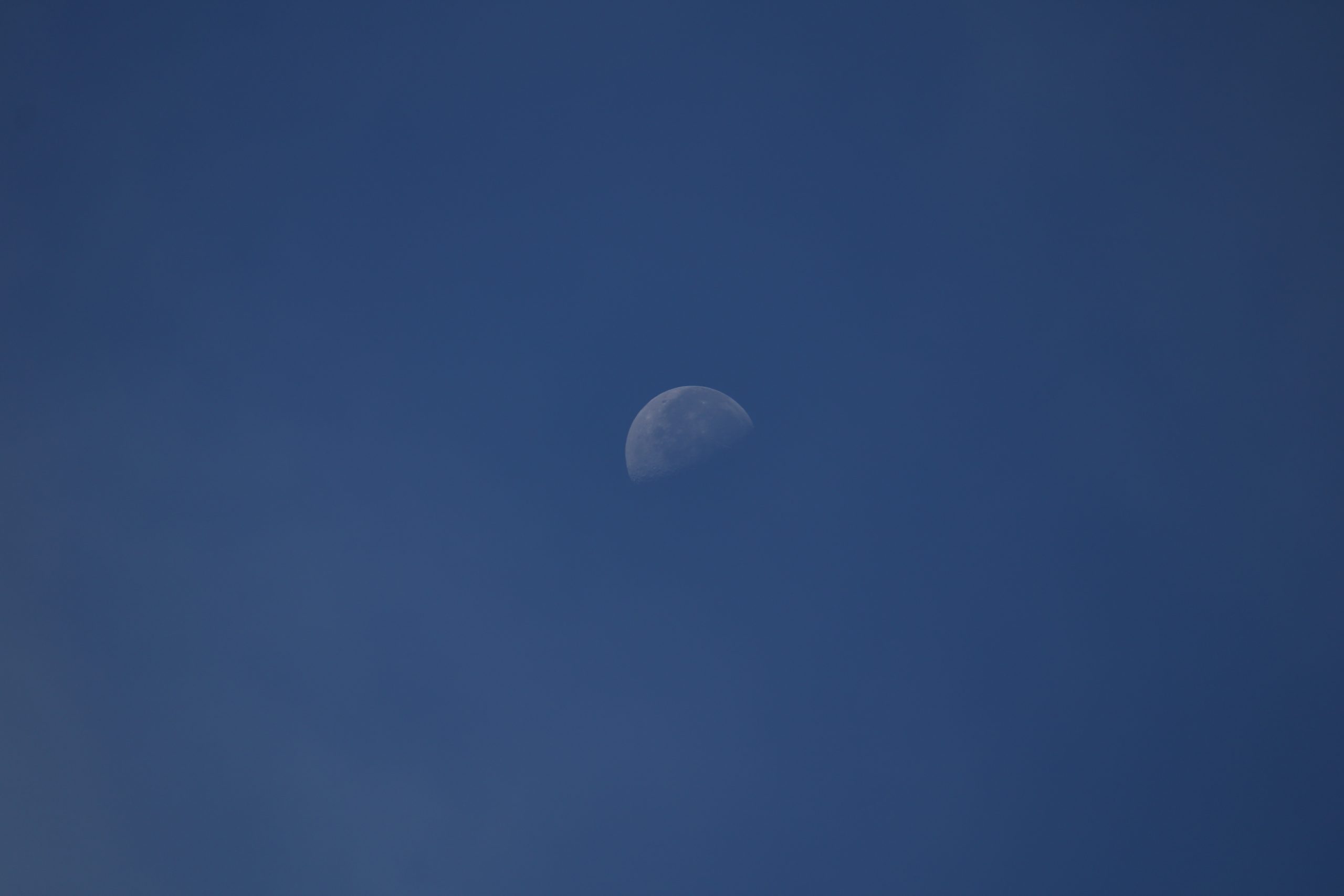 Moon in sky