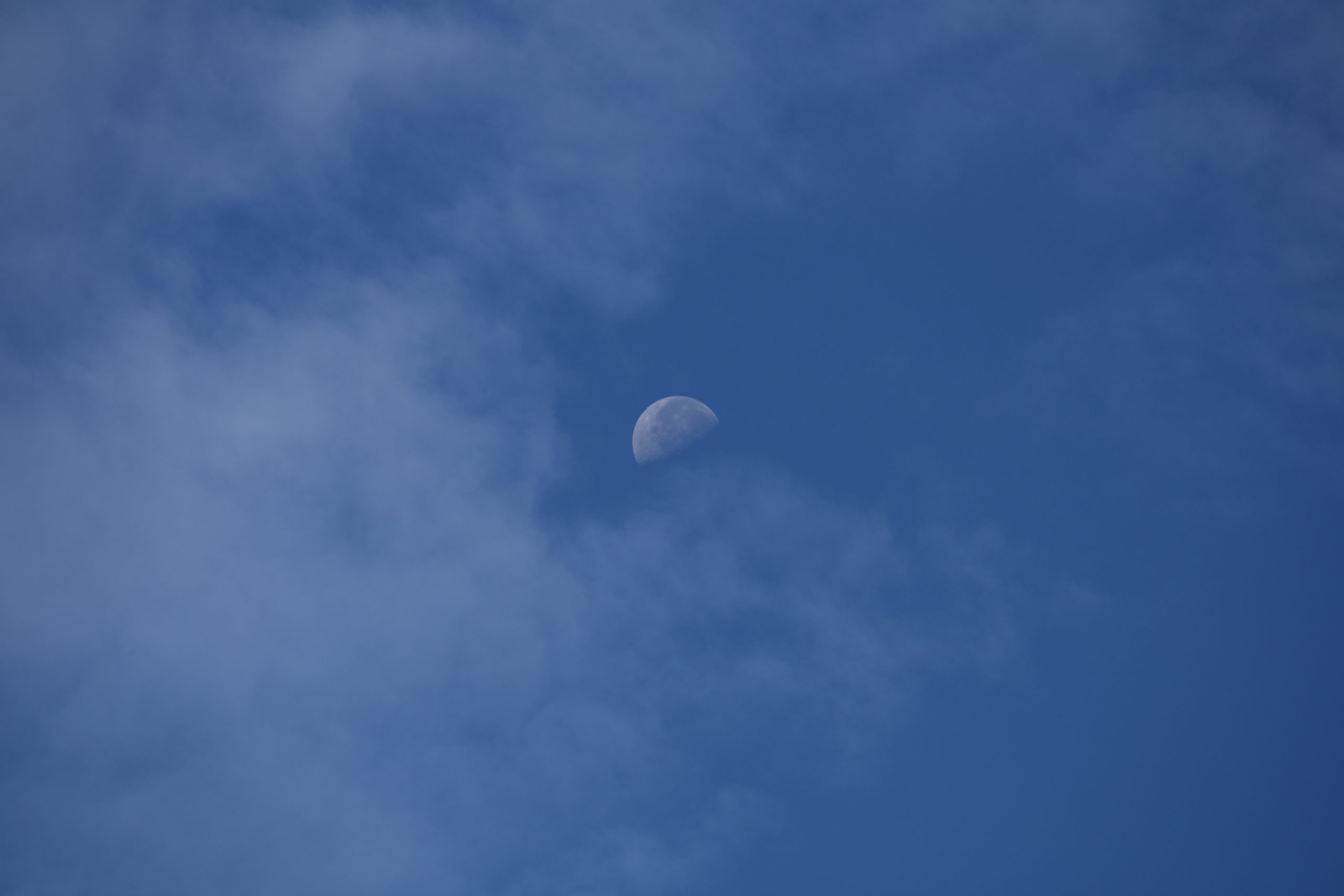 Moon in sky