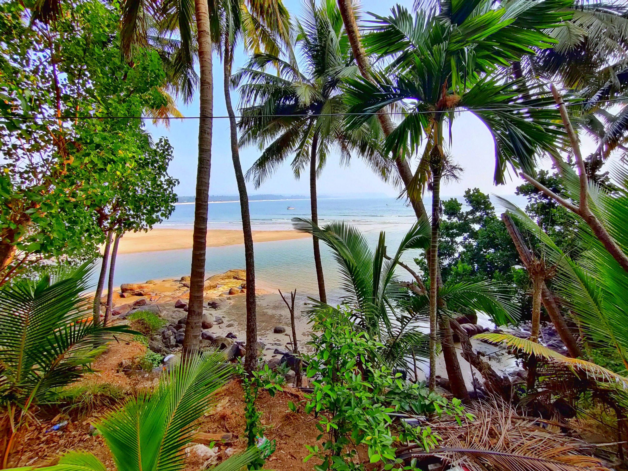 Beautiful Scene of Beach and greenery