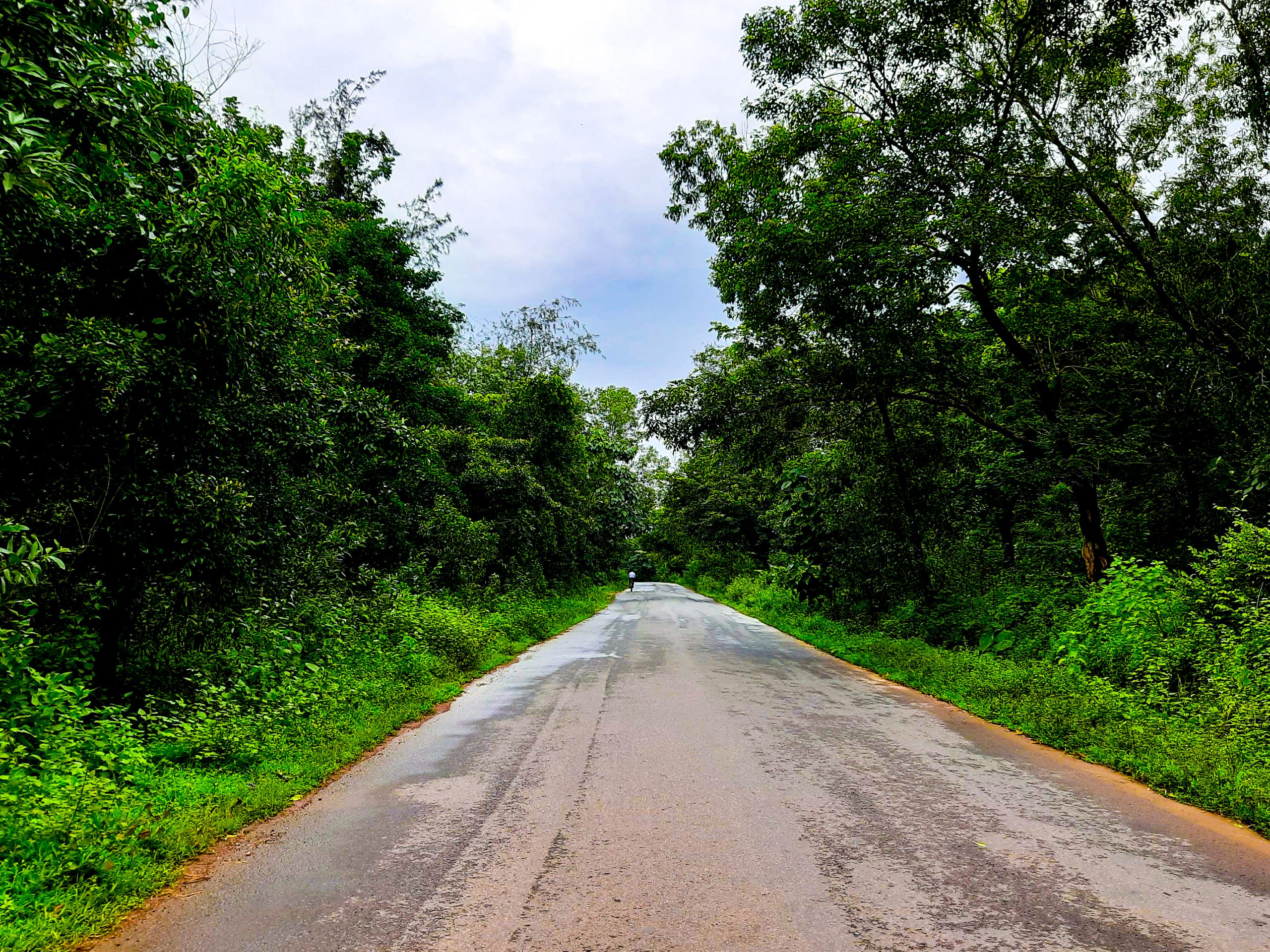 Road landscape