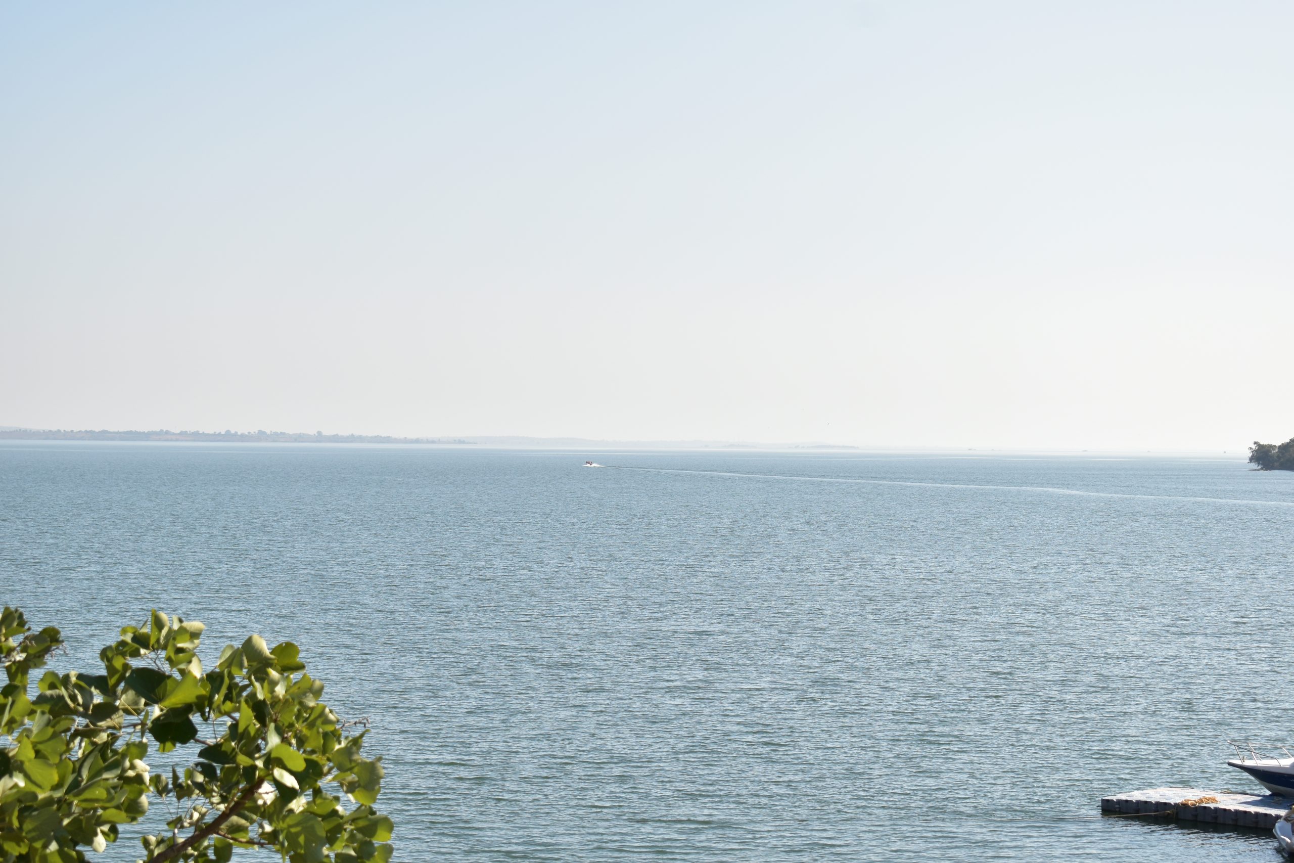 sea and the horizon