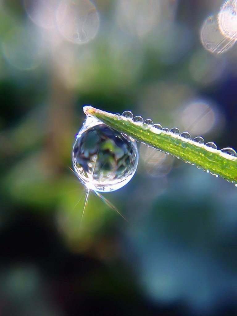 Waterdrops waterdrops - PixaHive