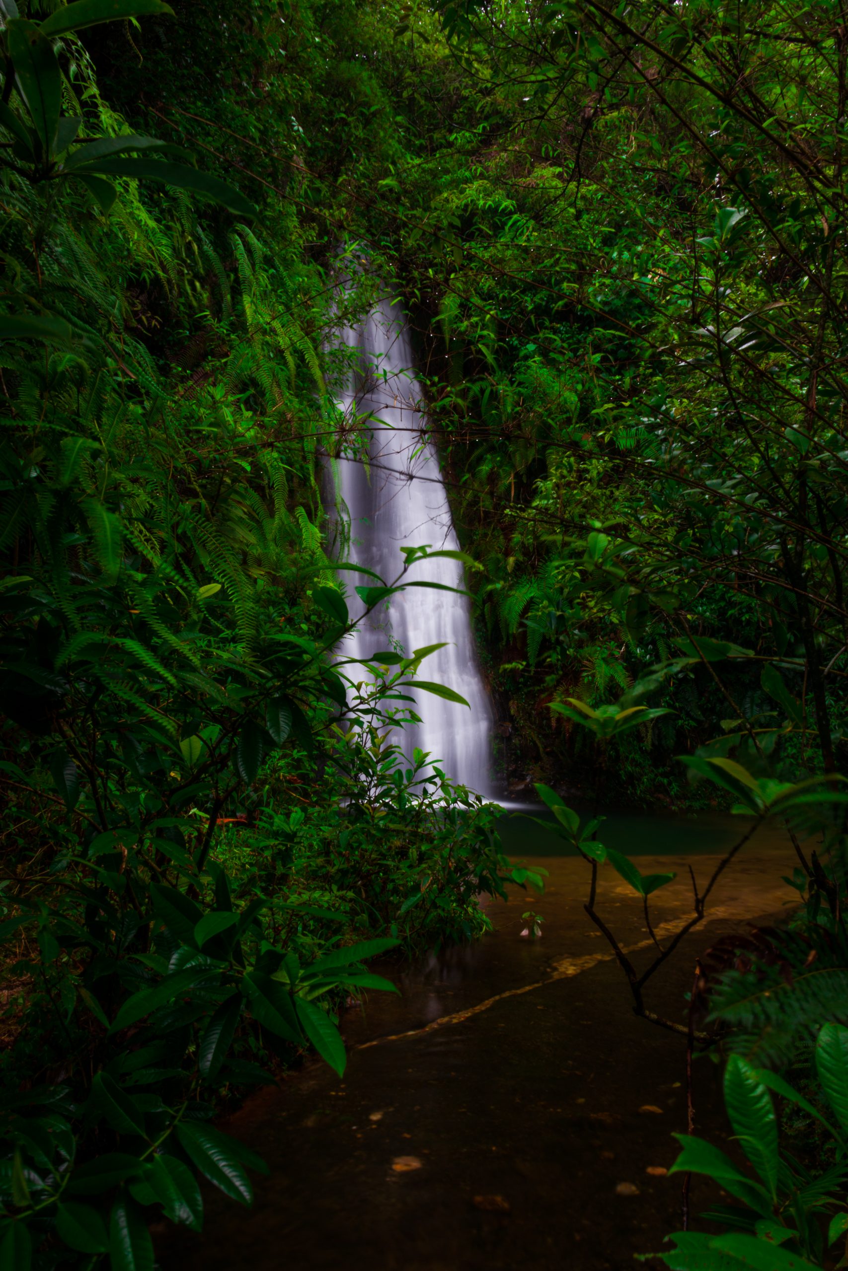 Waterfall