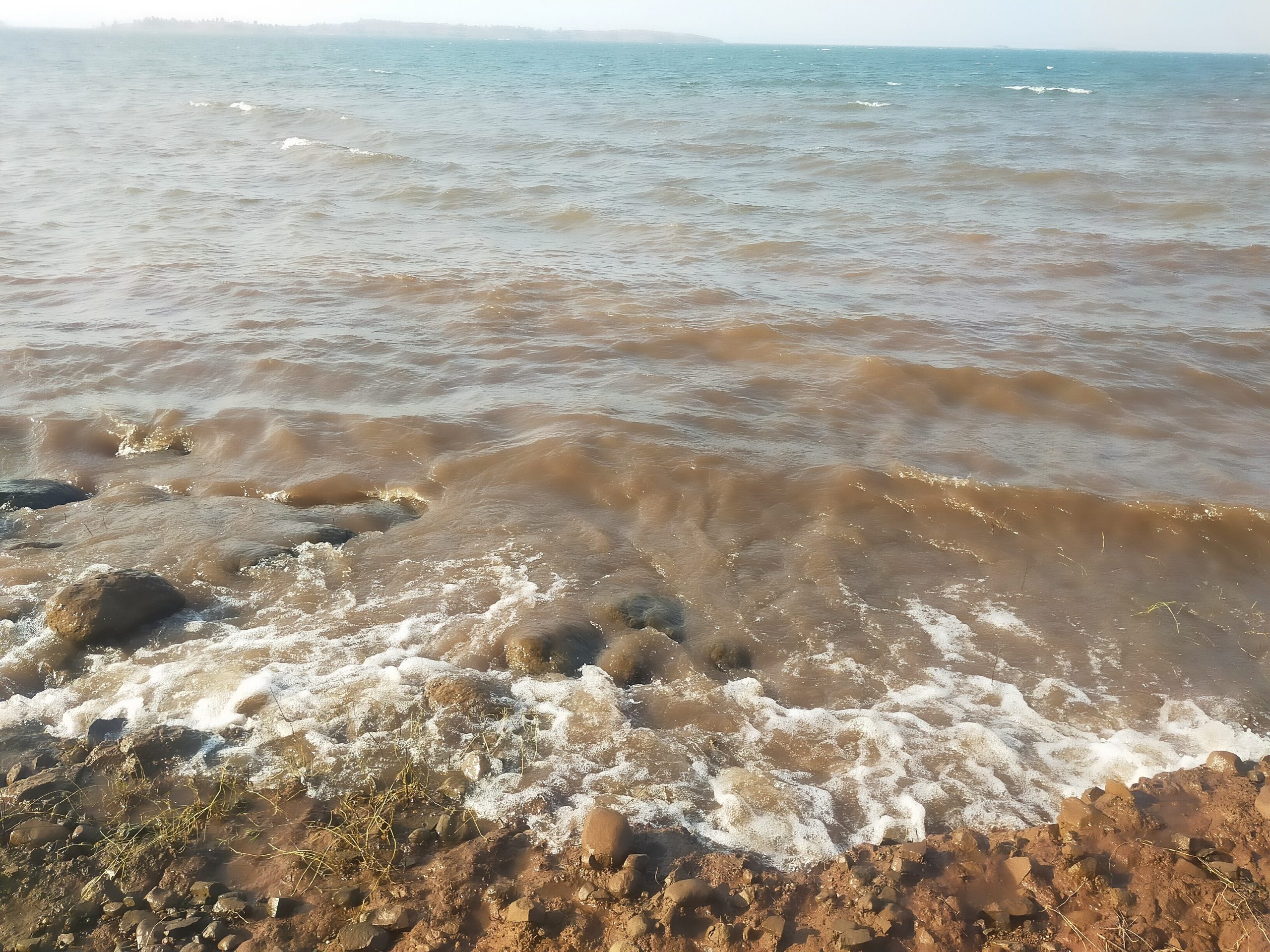 Waves with muddy water of the sea