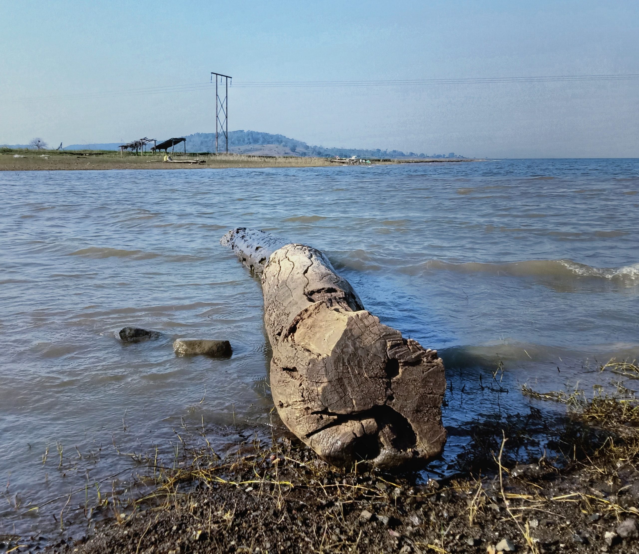 A wooden pole in water