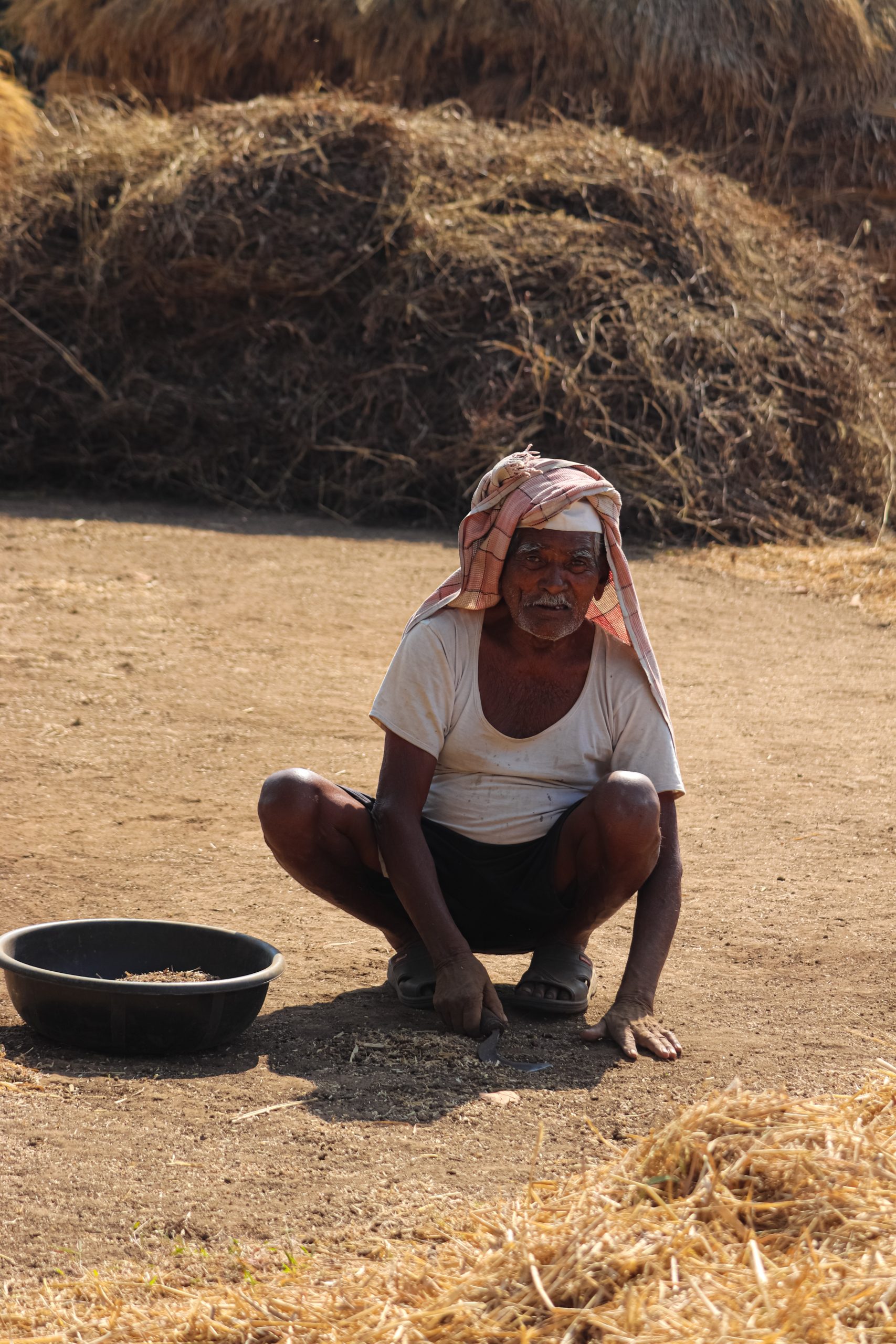 farmer in the field