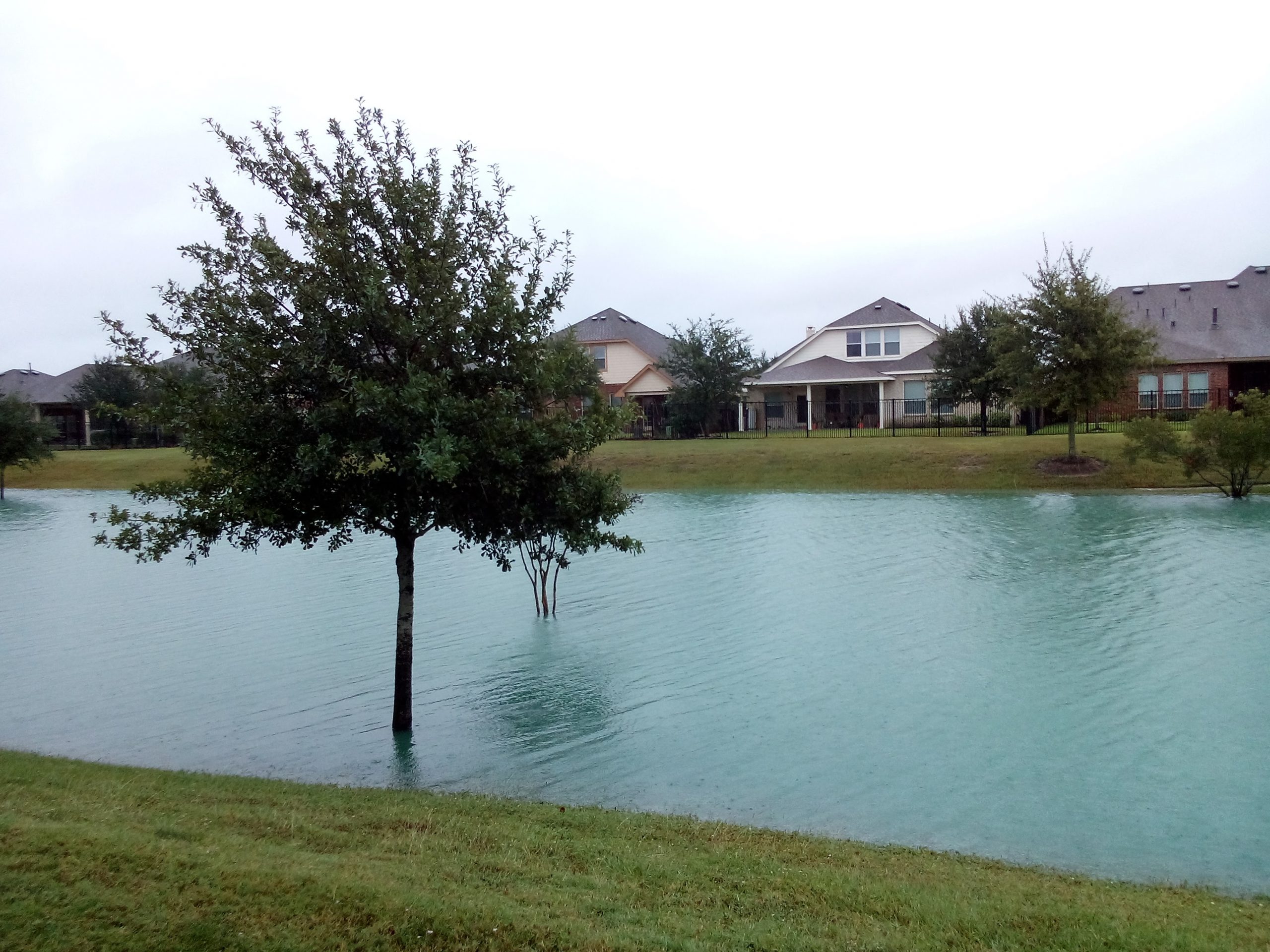 houses on lakeside