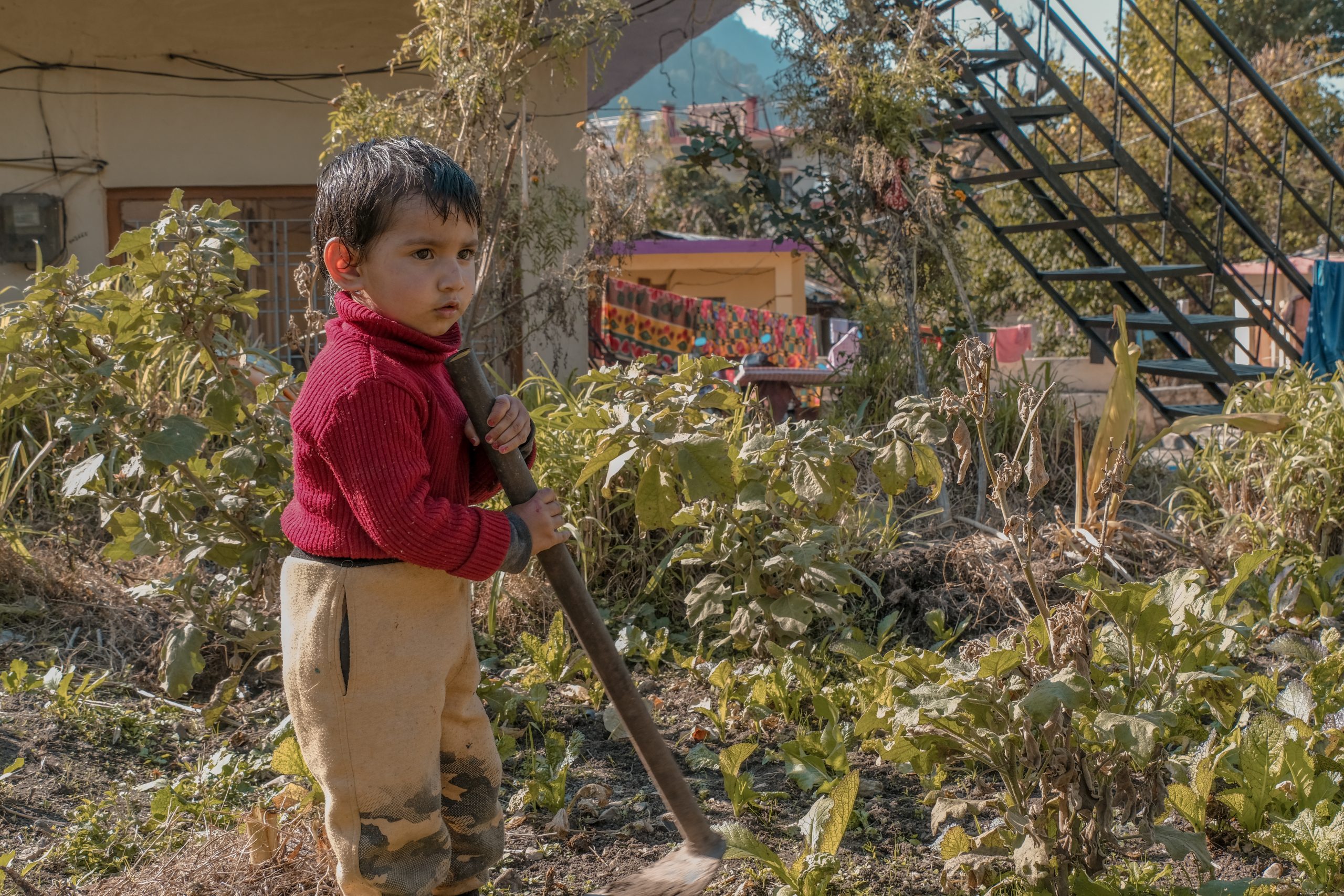 A little boy in house garden