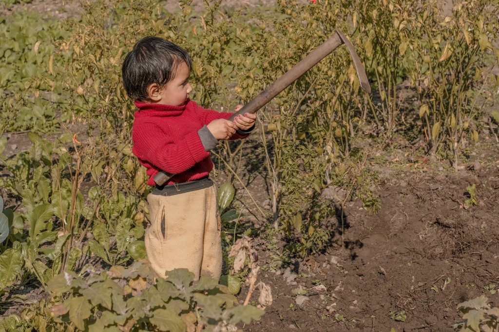 A baby farmer Free Image by Shankarnautiyal. Photography on