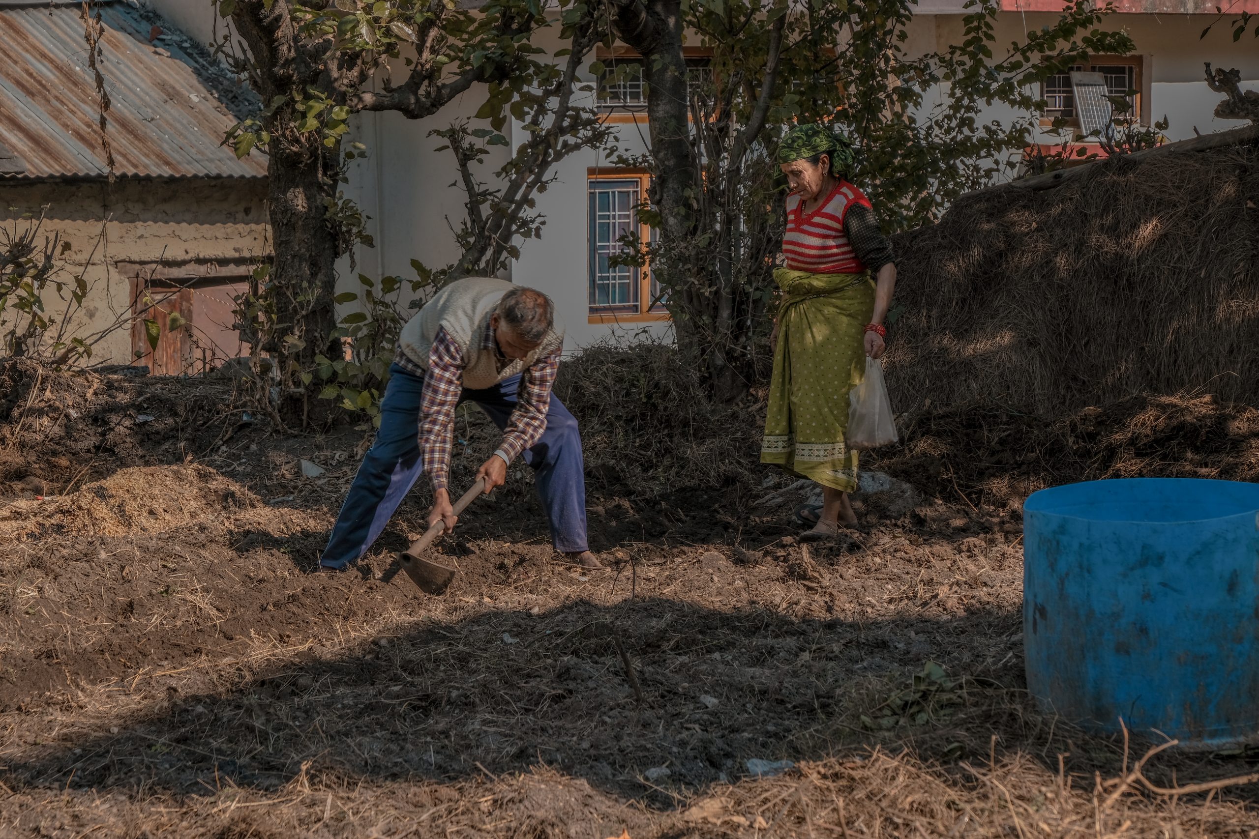 A village farmers working in field