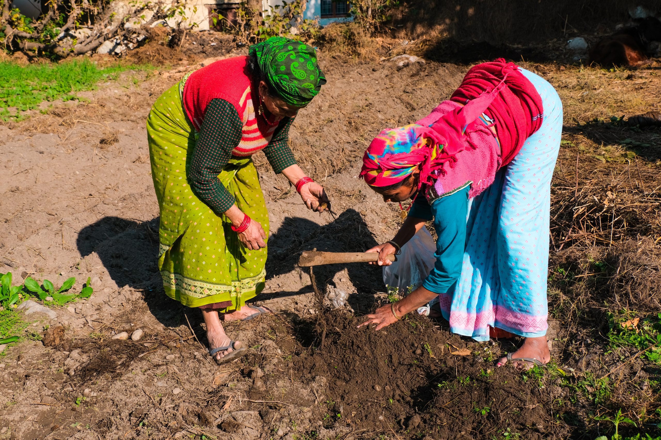 farmers working in the field