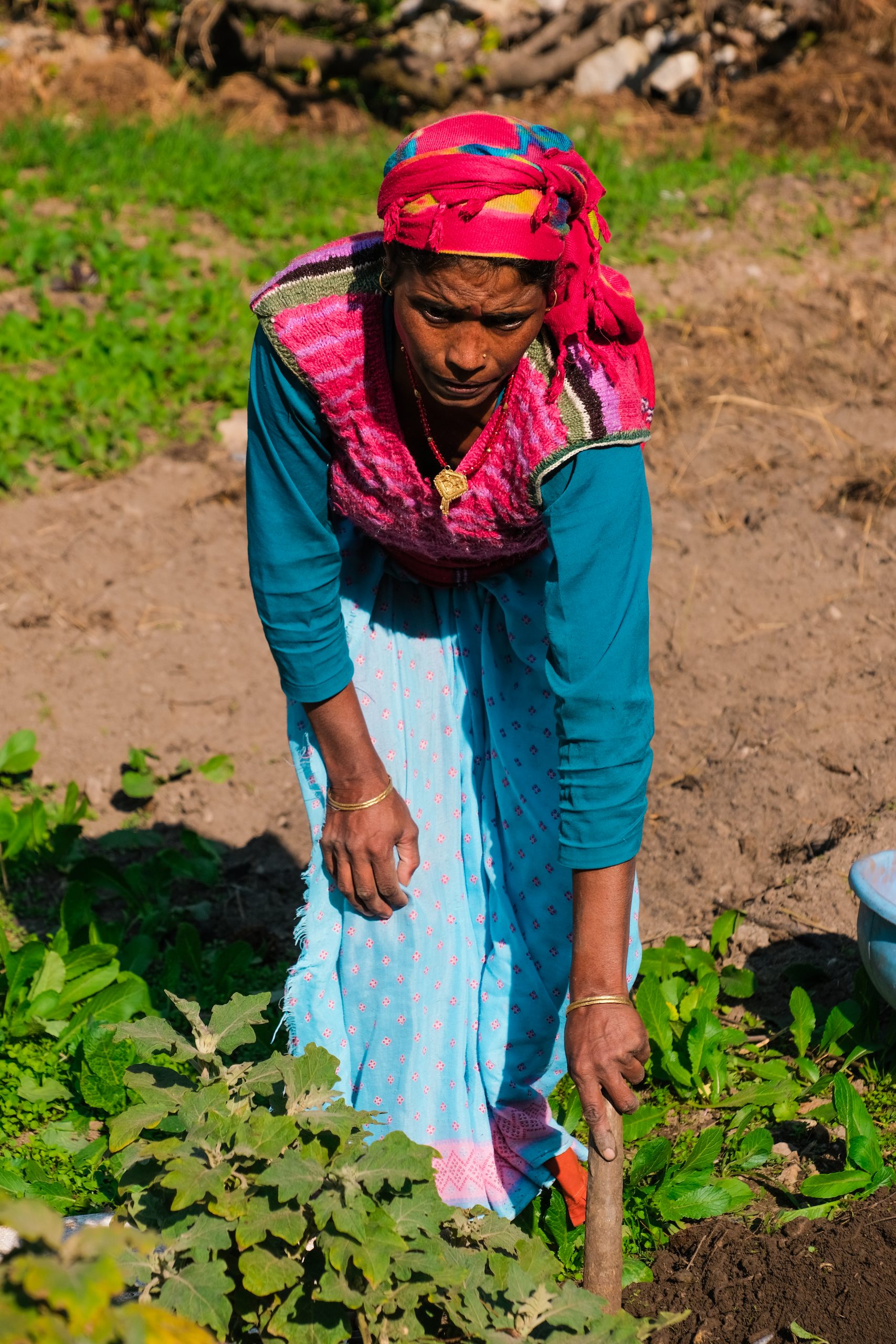 A lady farmer