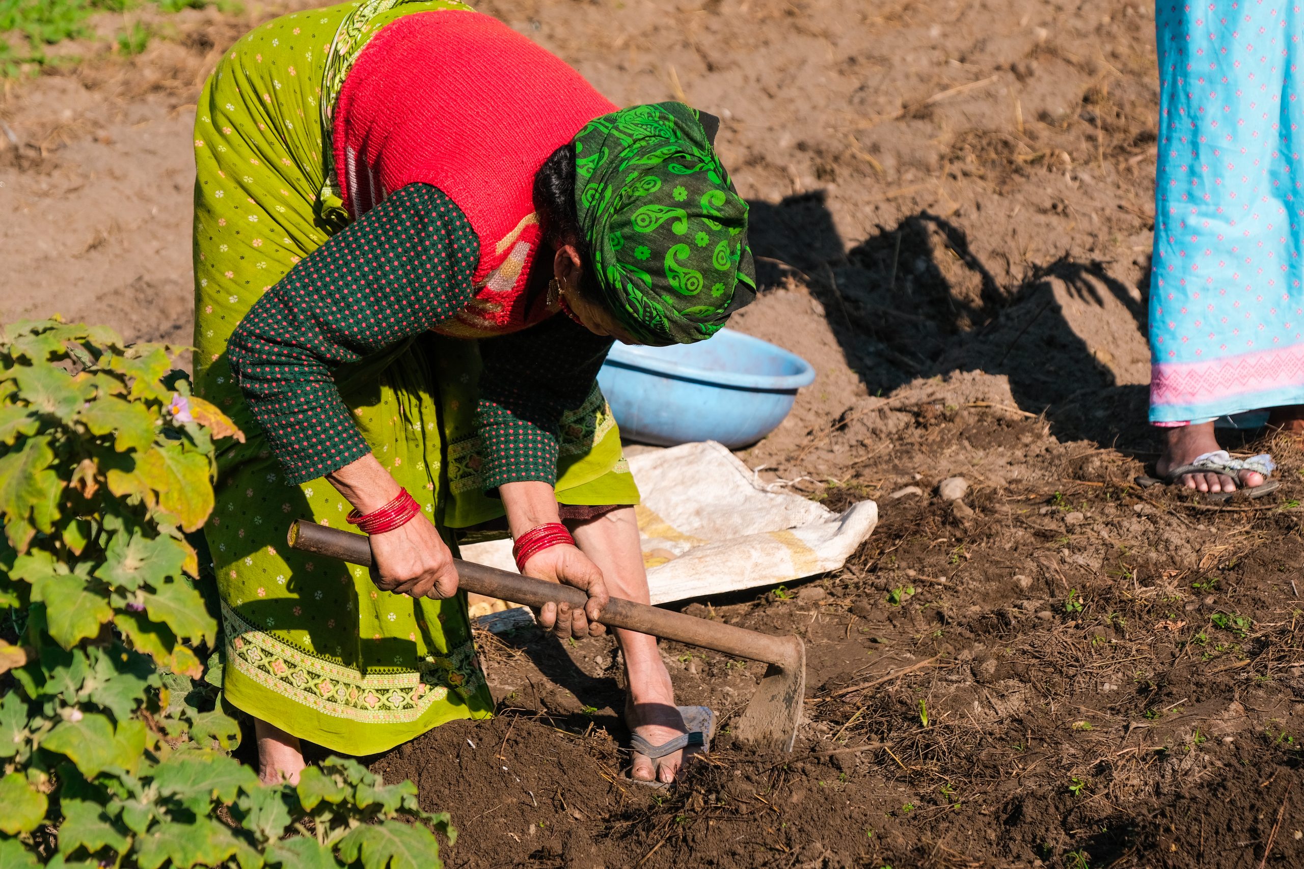 farmer in the field