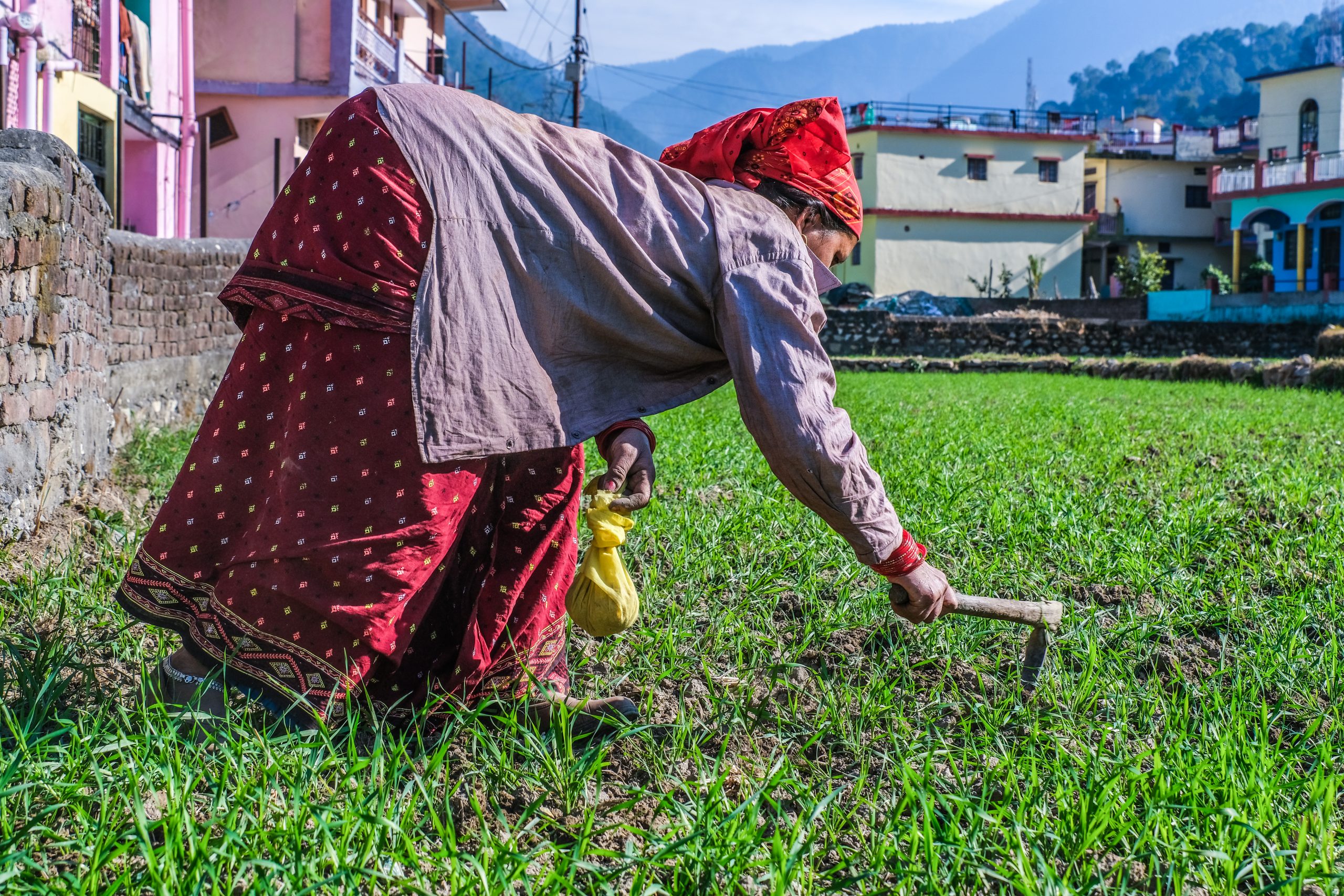 woman working in the field
