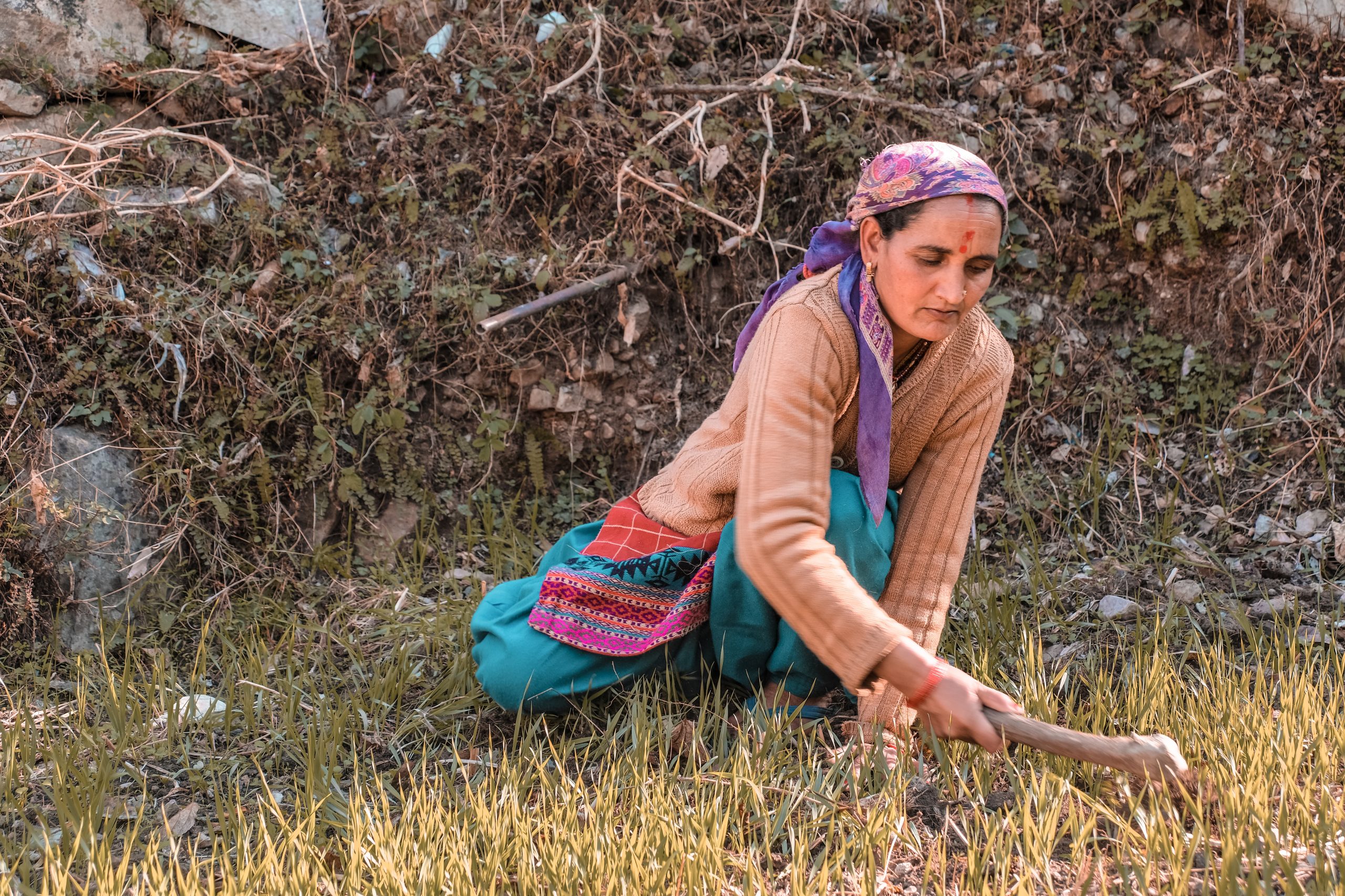 A lady farmer working in field
