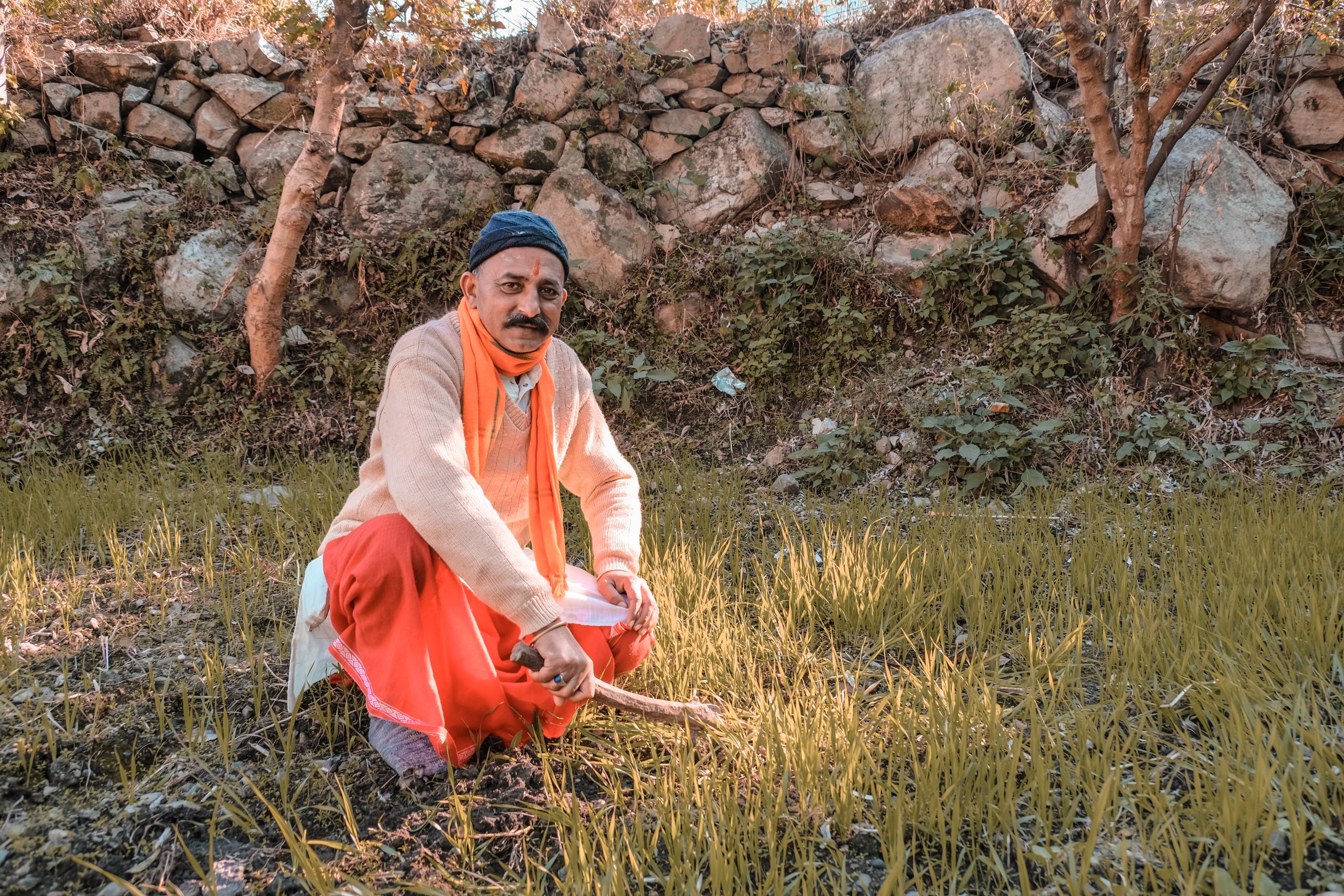 farmer in the field