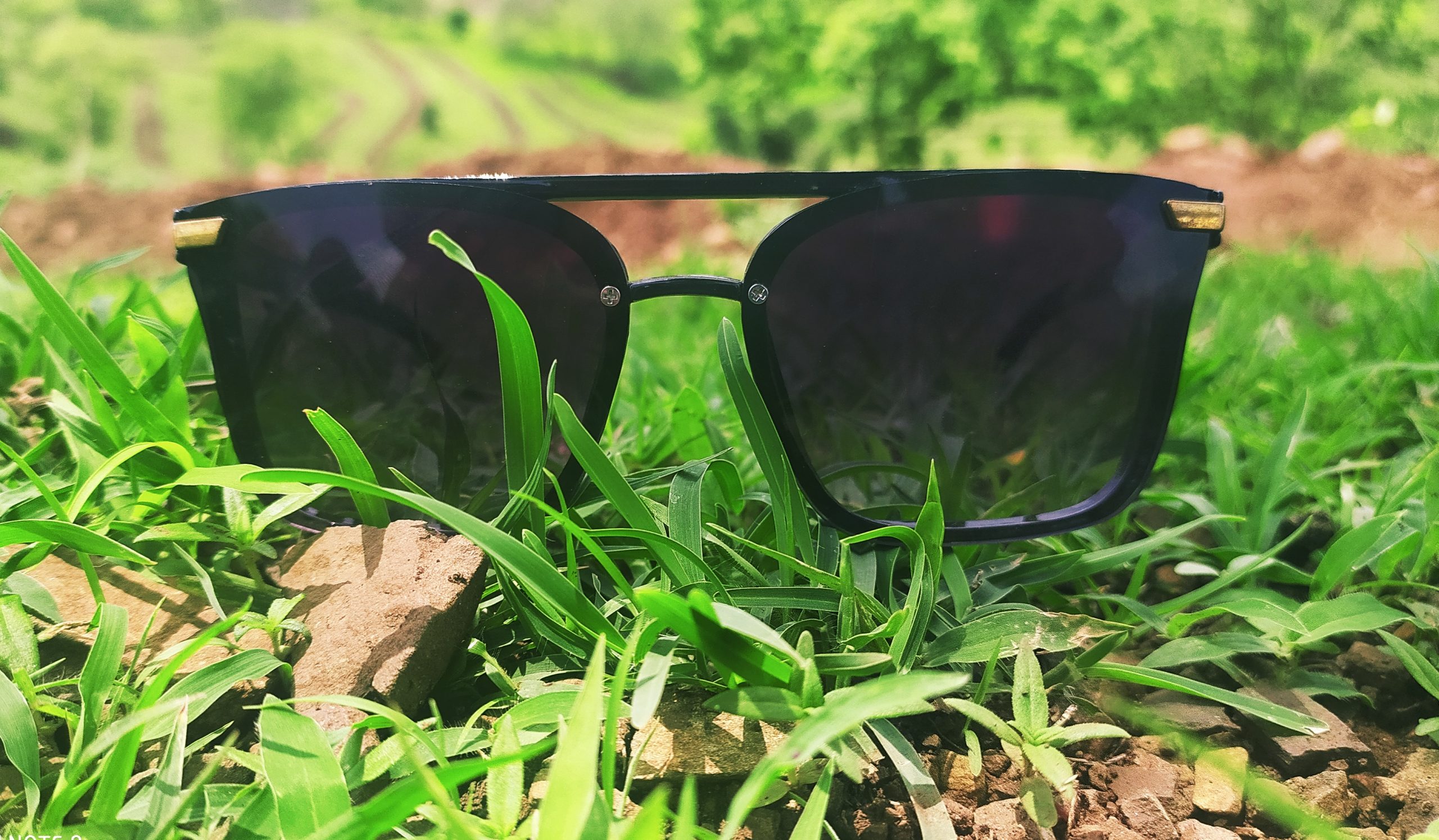 sunglasses in grass