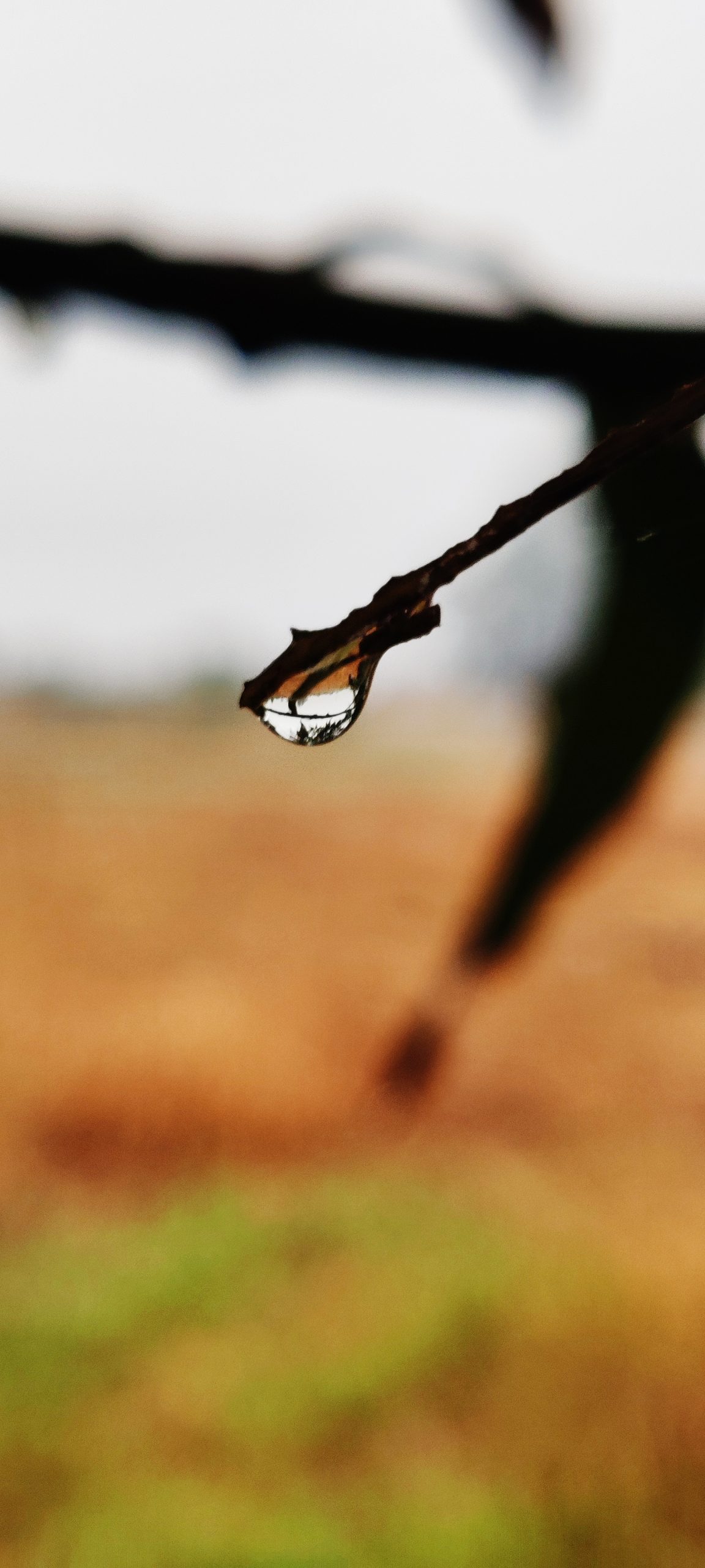 Water drop