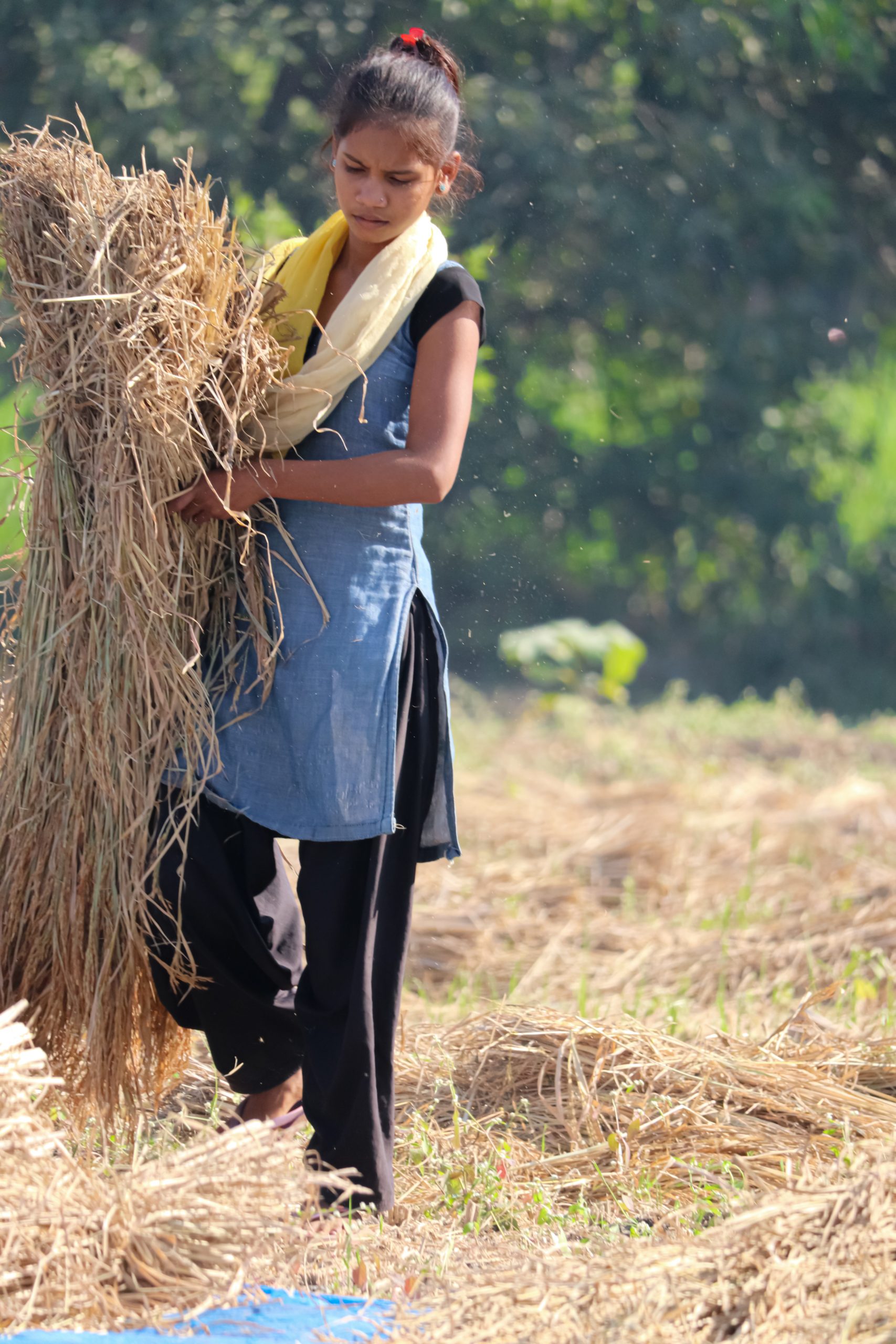 Girl moving hay