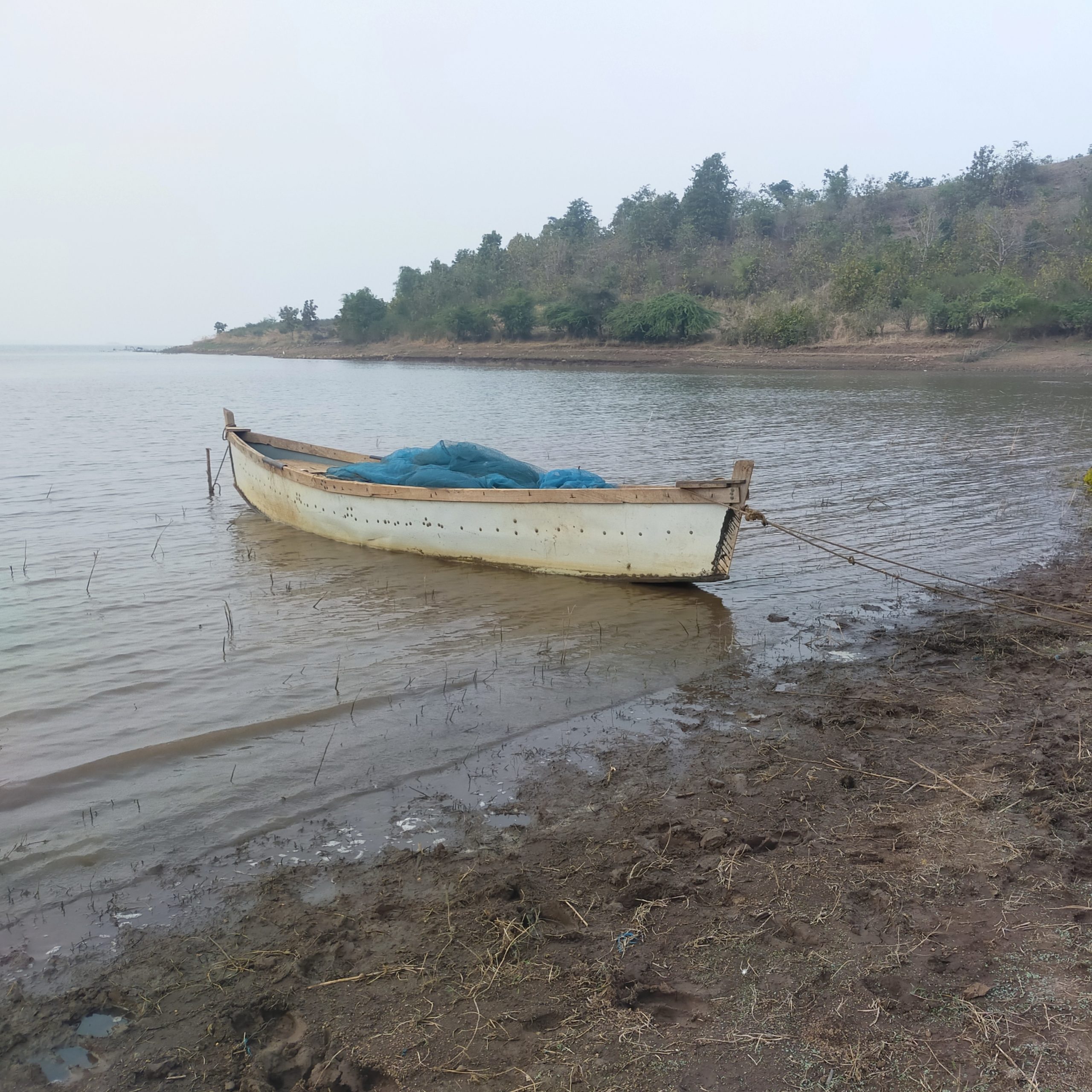 A boat tied to shore