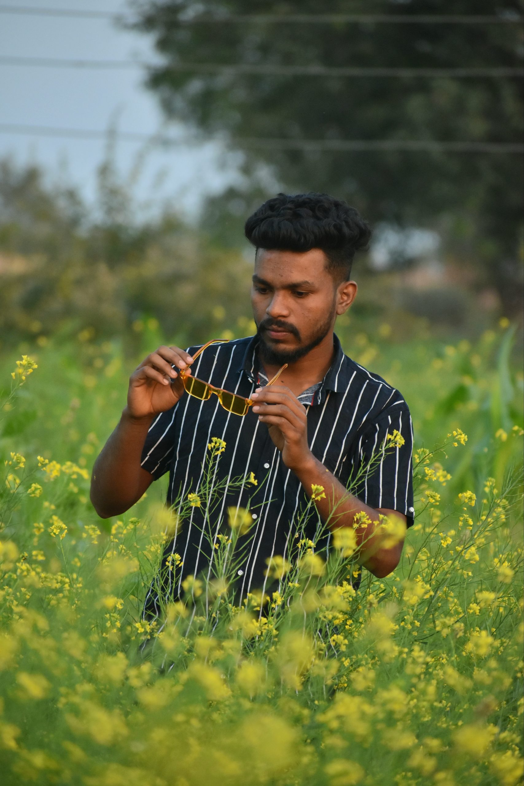 A boy in mustard plant field