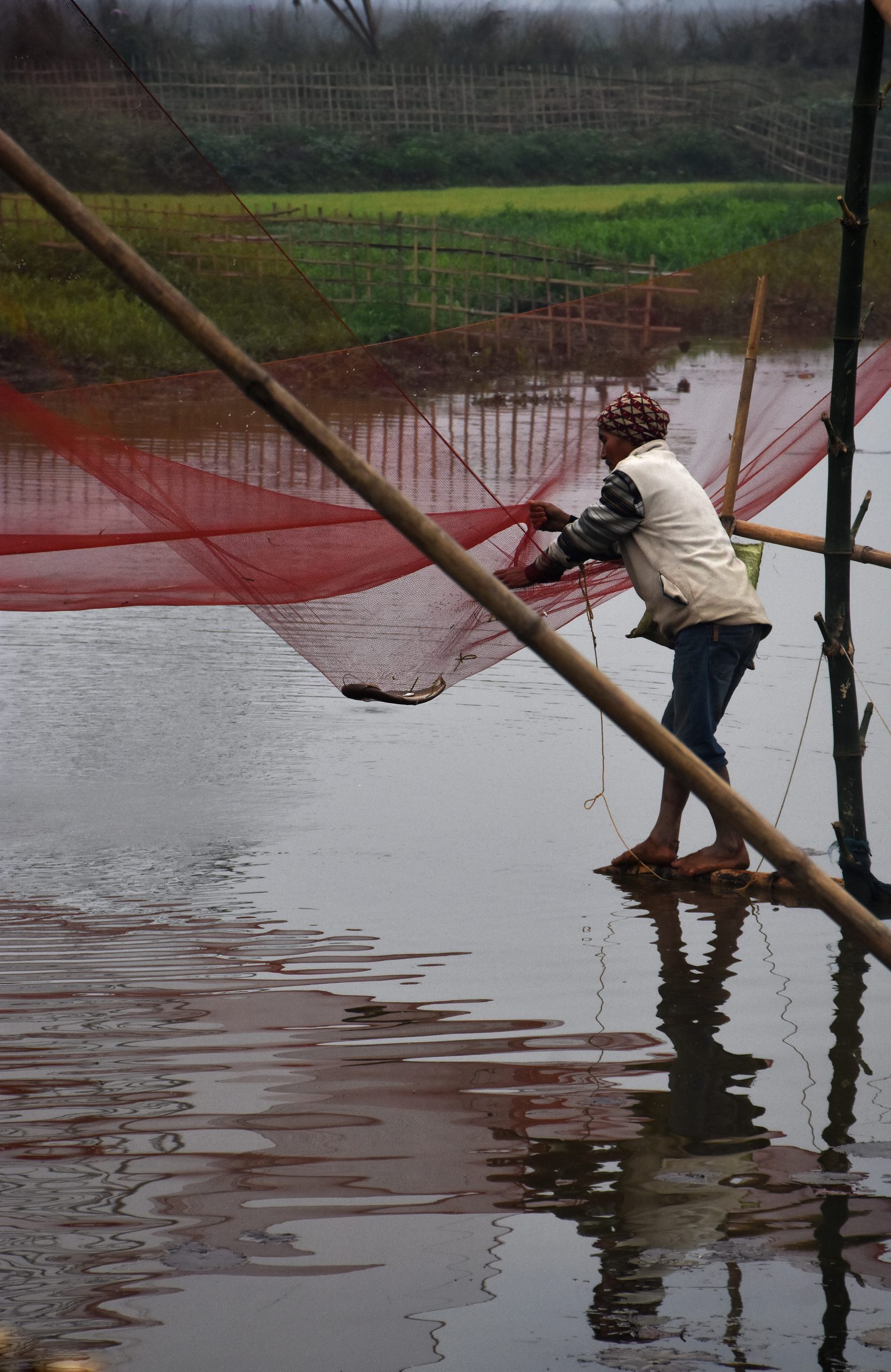 A fisherman with fishing net