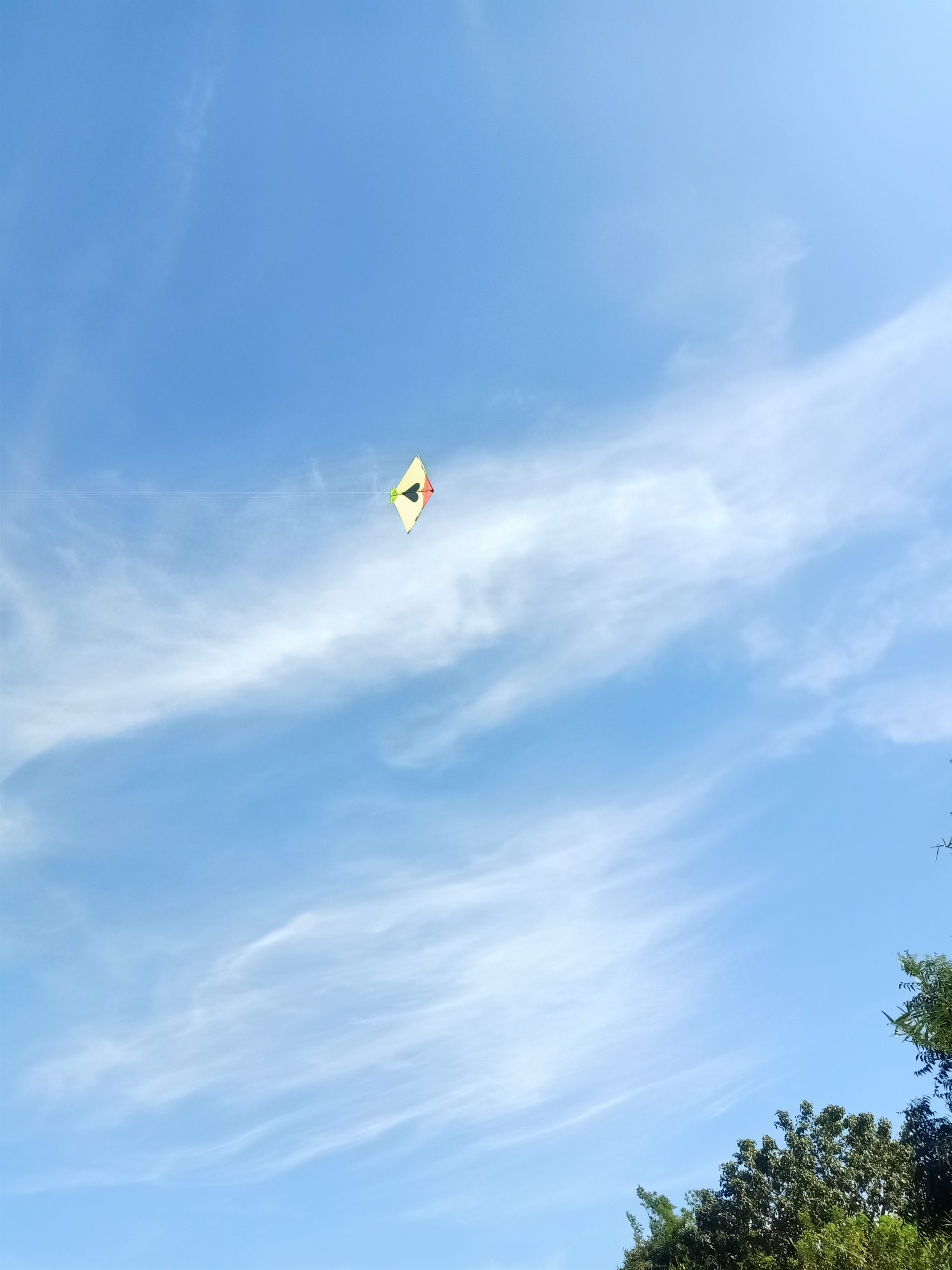 A flying kite