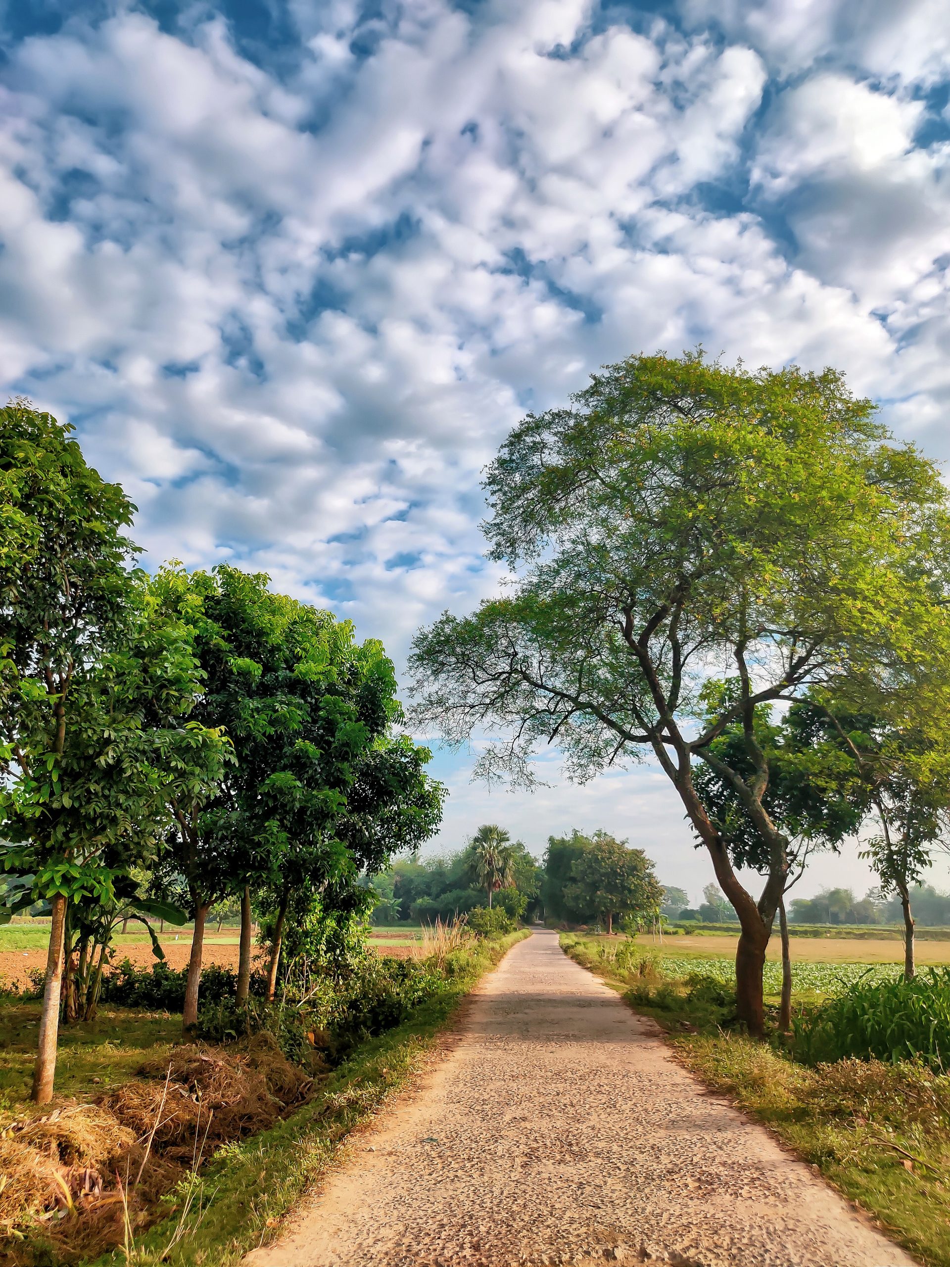 A Narrow Road PixaHive