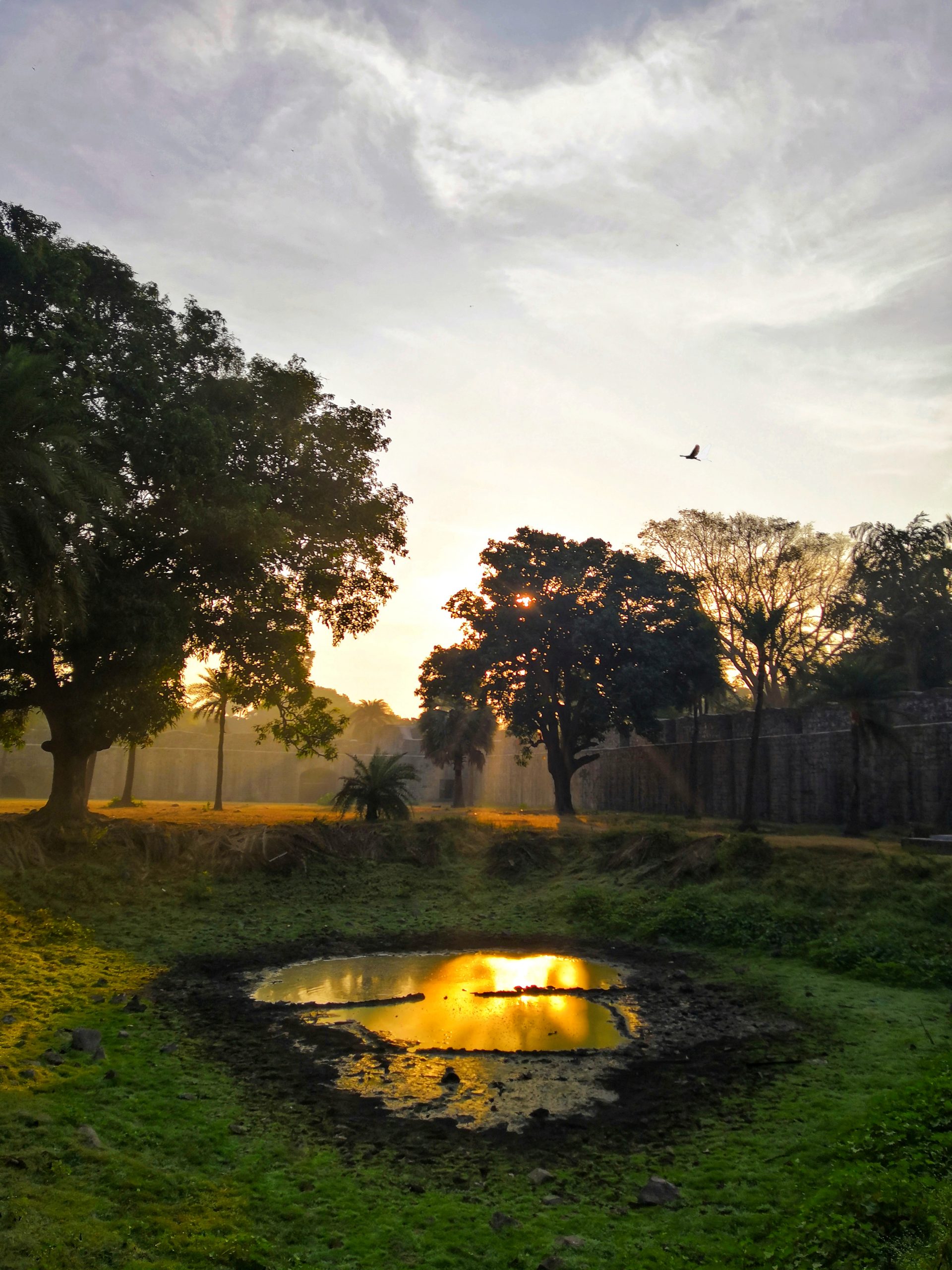 A puddle in park