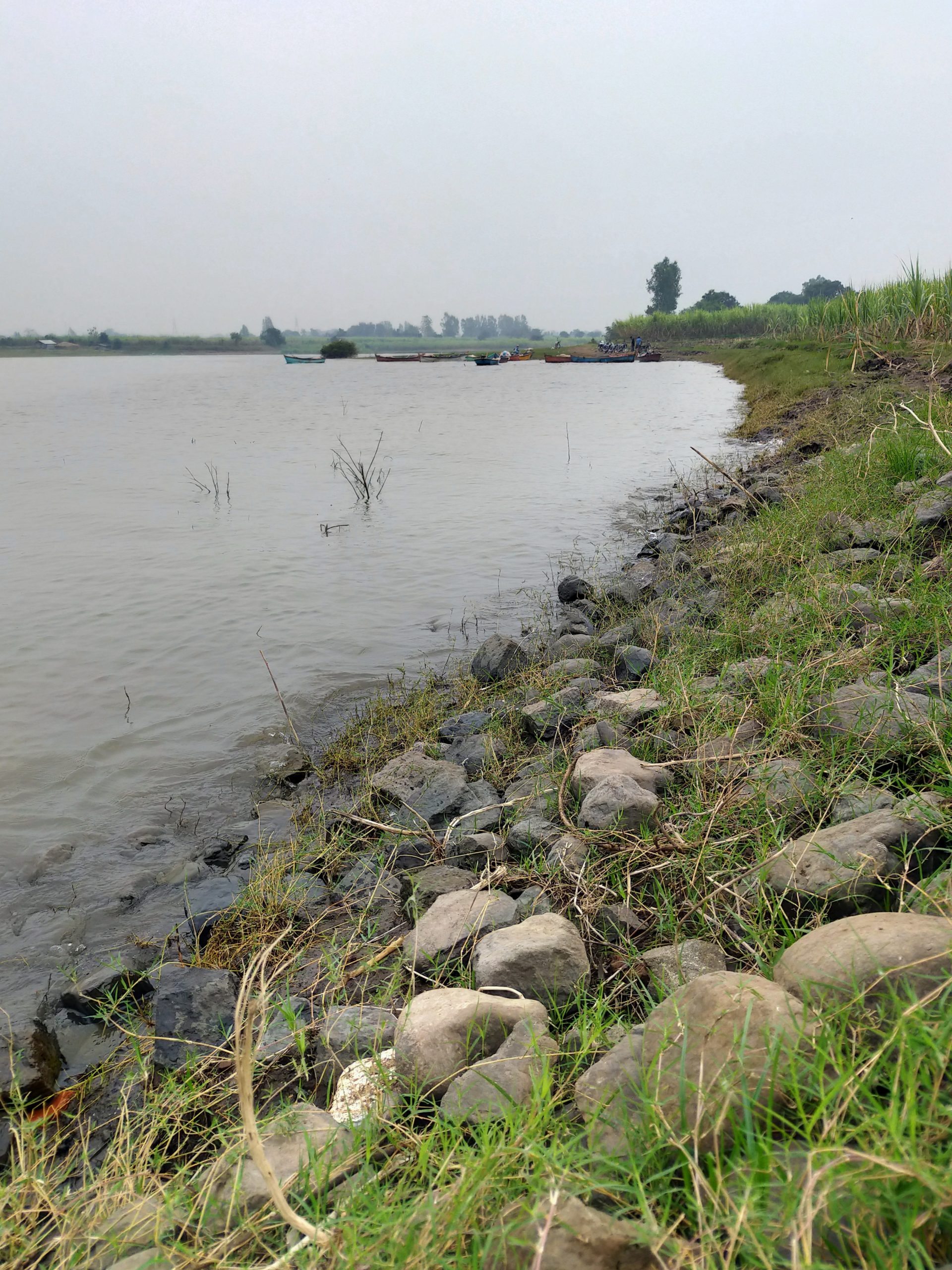 Shore of a lake