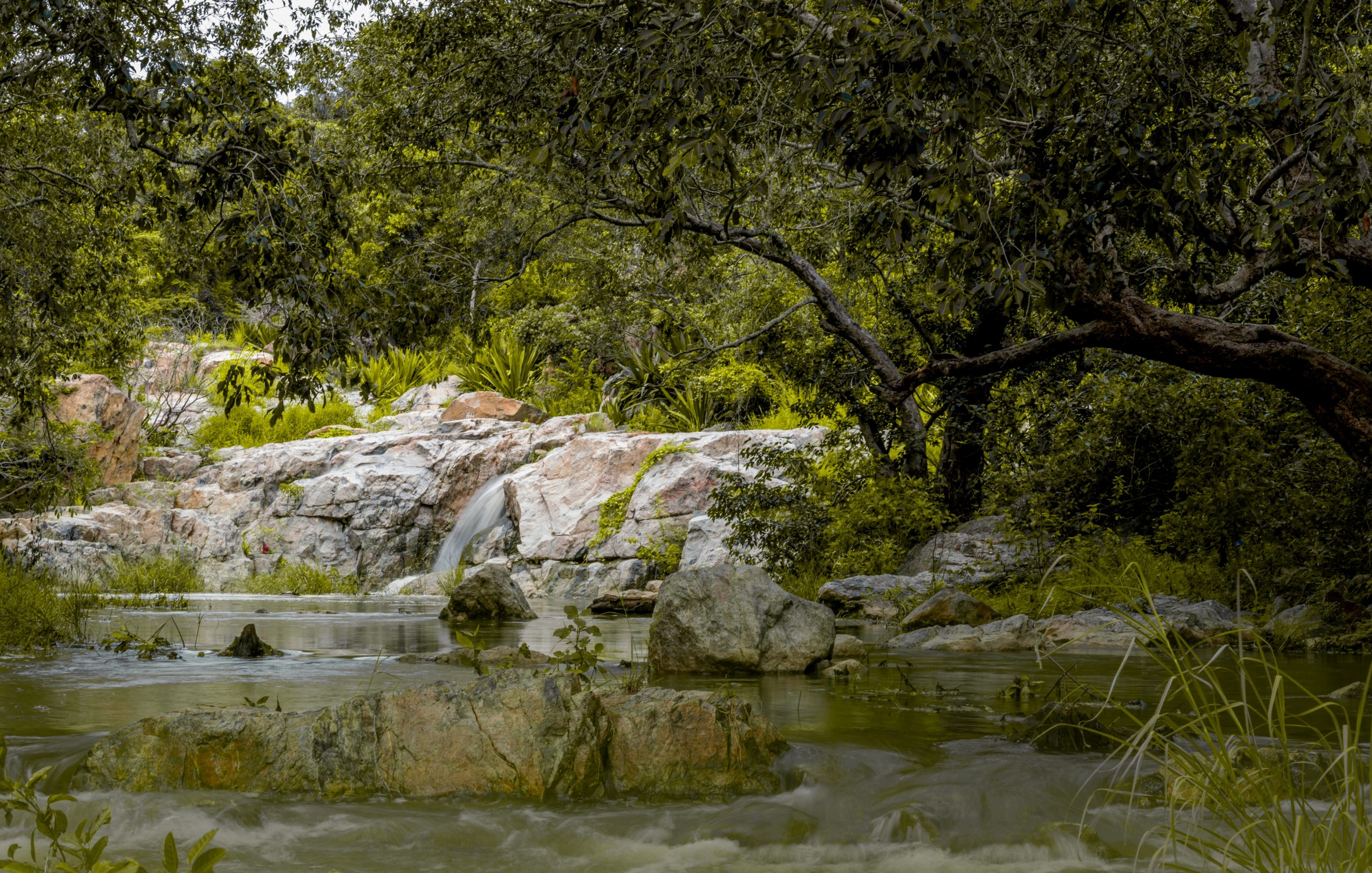 Beautiful Green Landscape