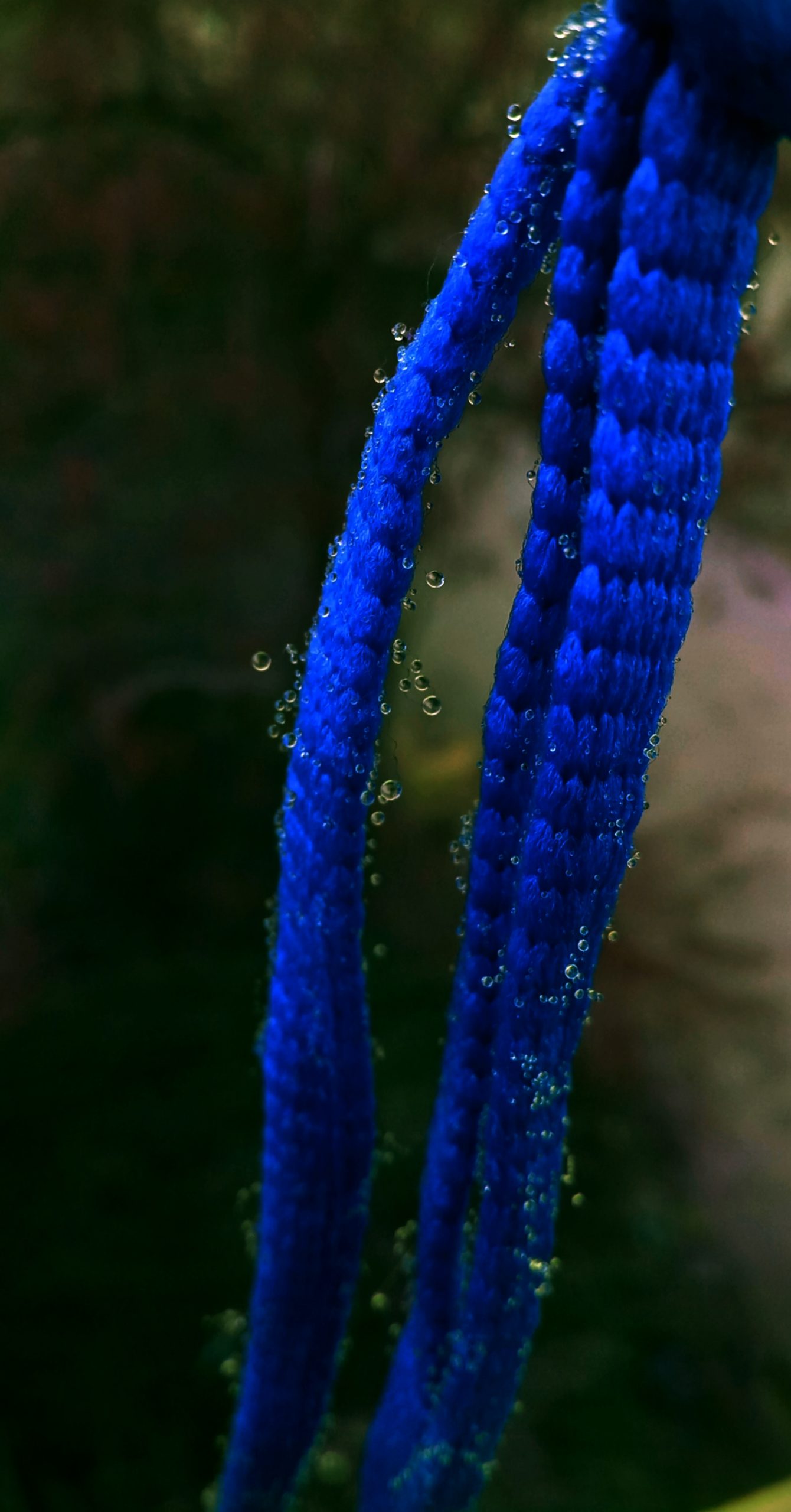 Blue ropes