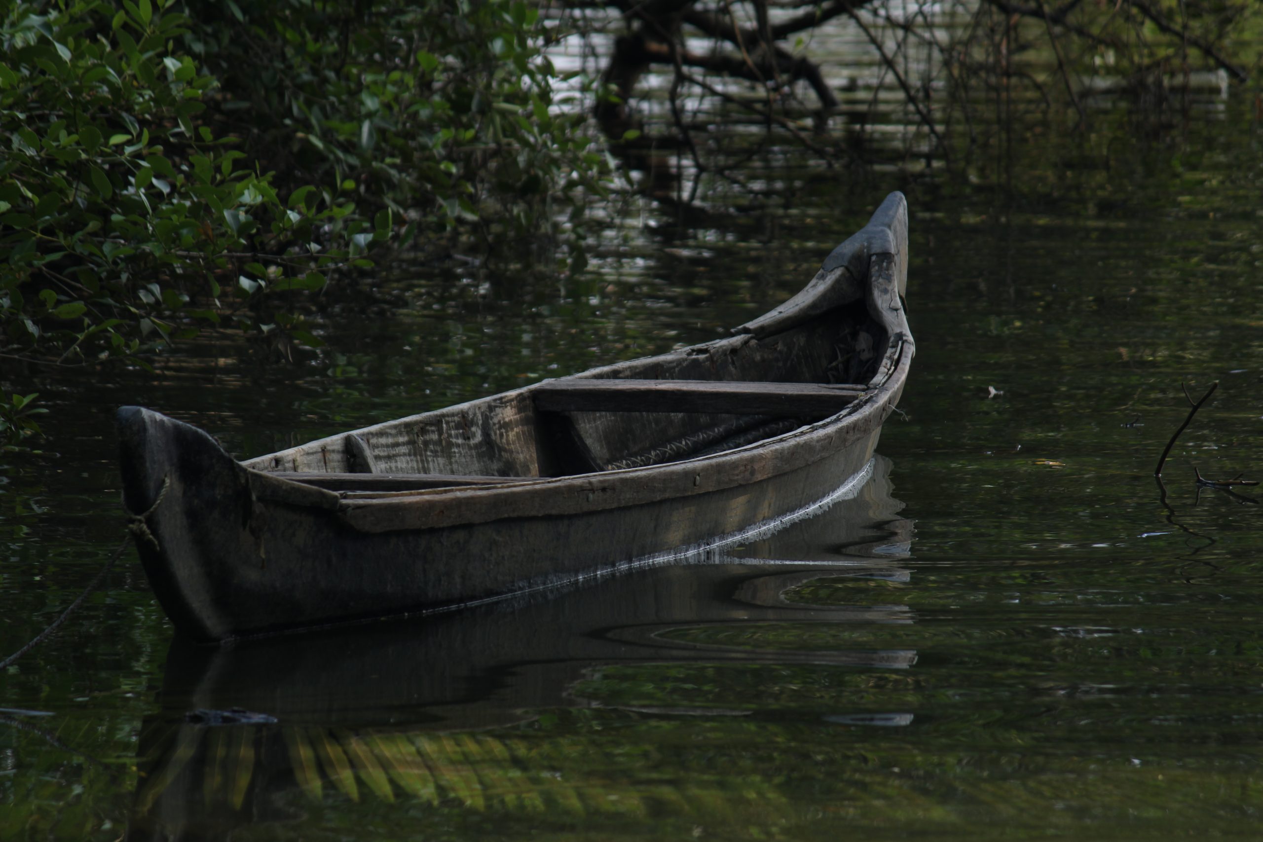 Boat in the river