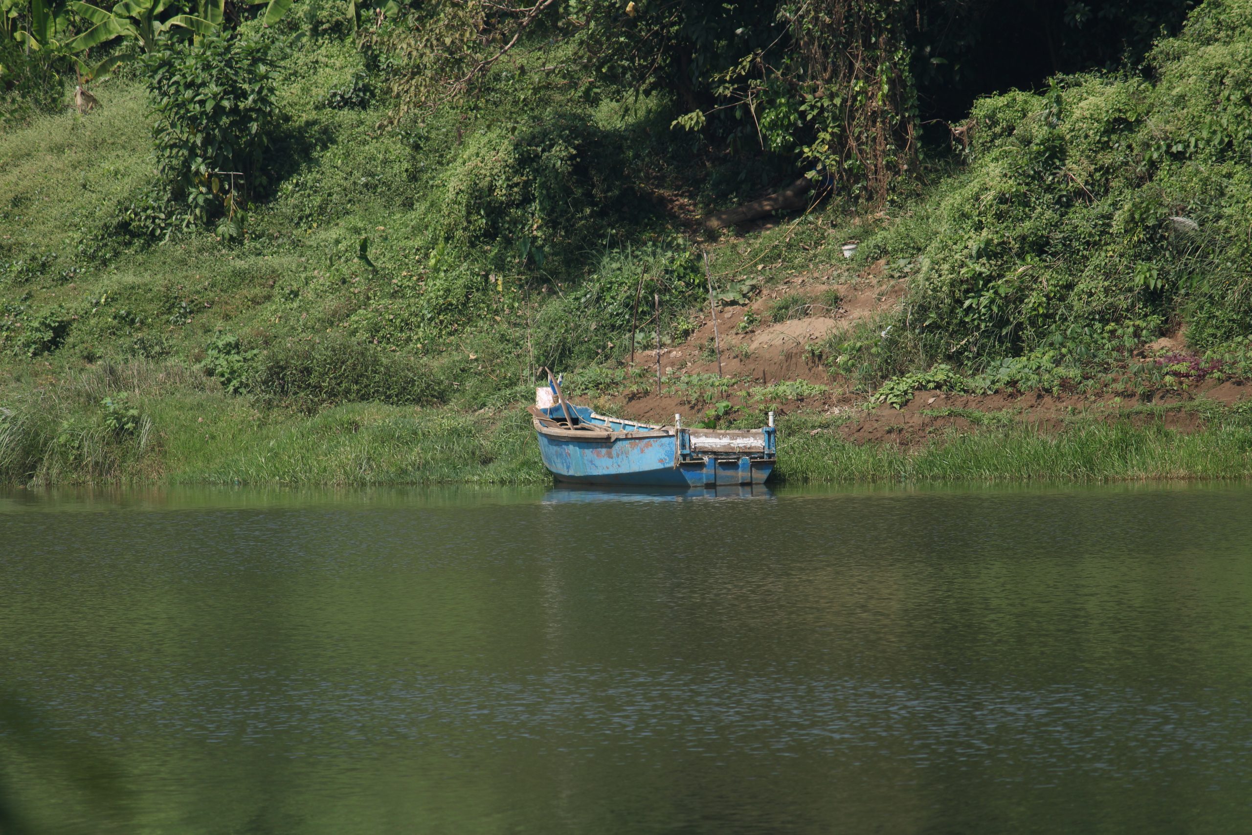Boat in river near grassy banks