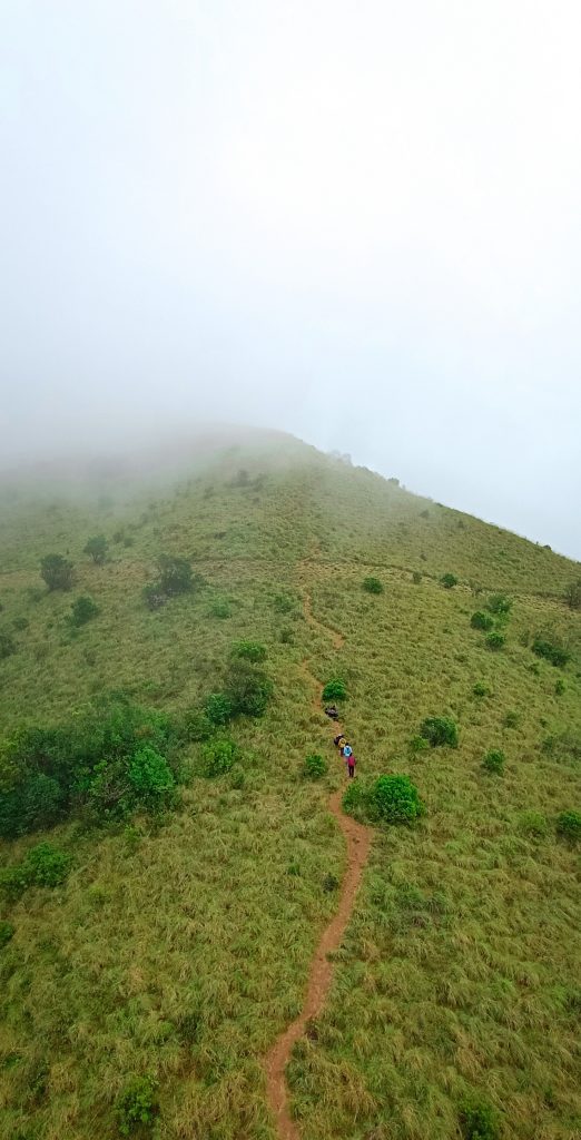 Brahmagiri Trek - PixaHive