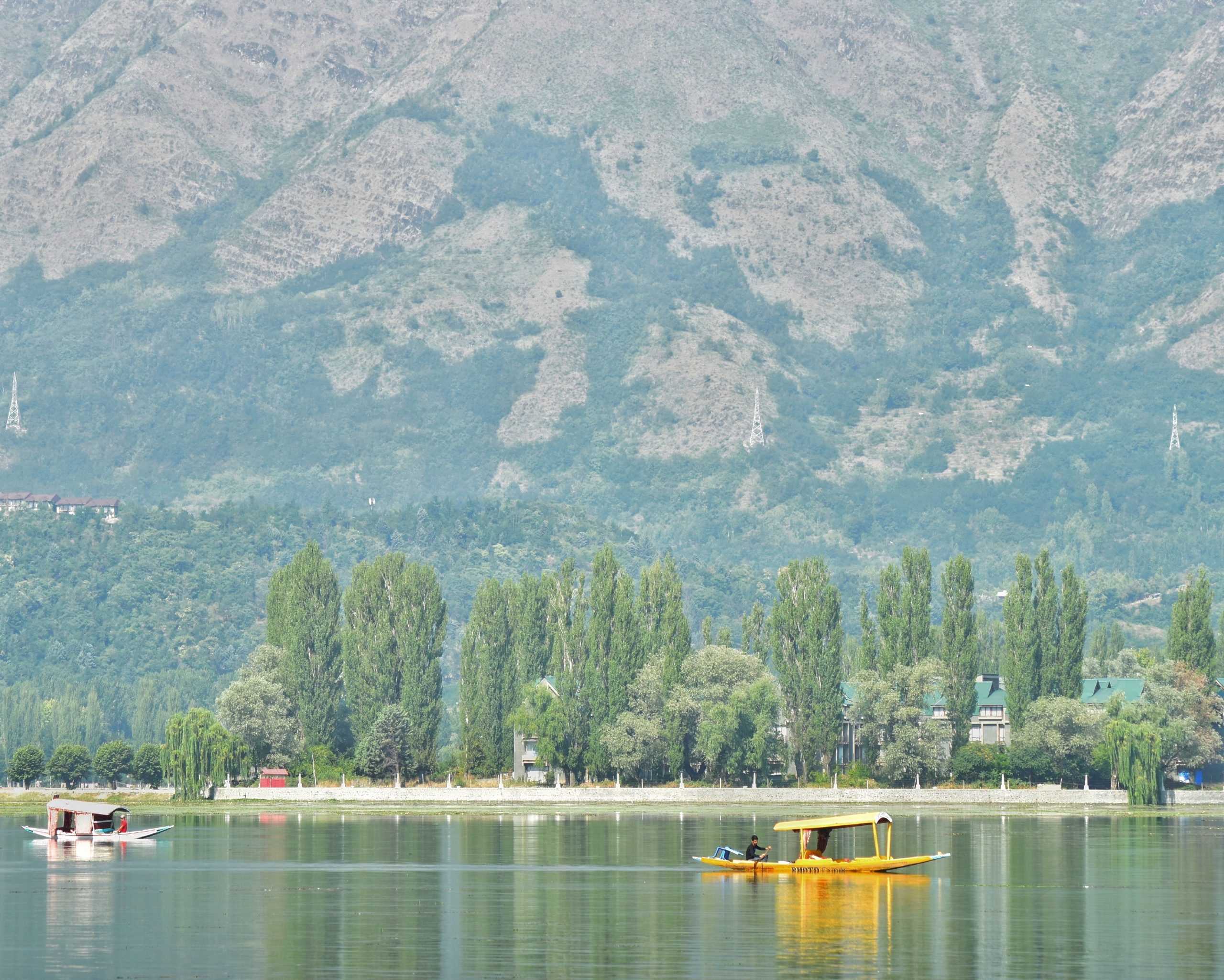 Dal lake Srinagar Kashmir